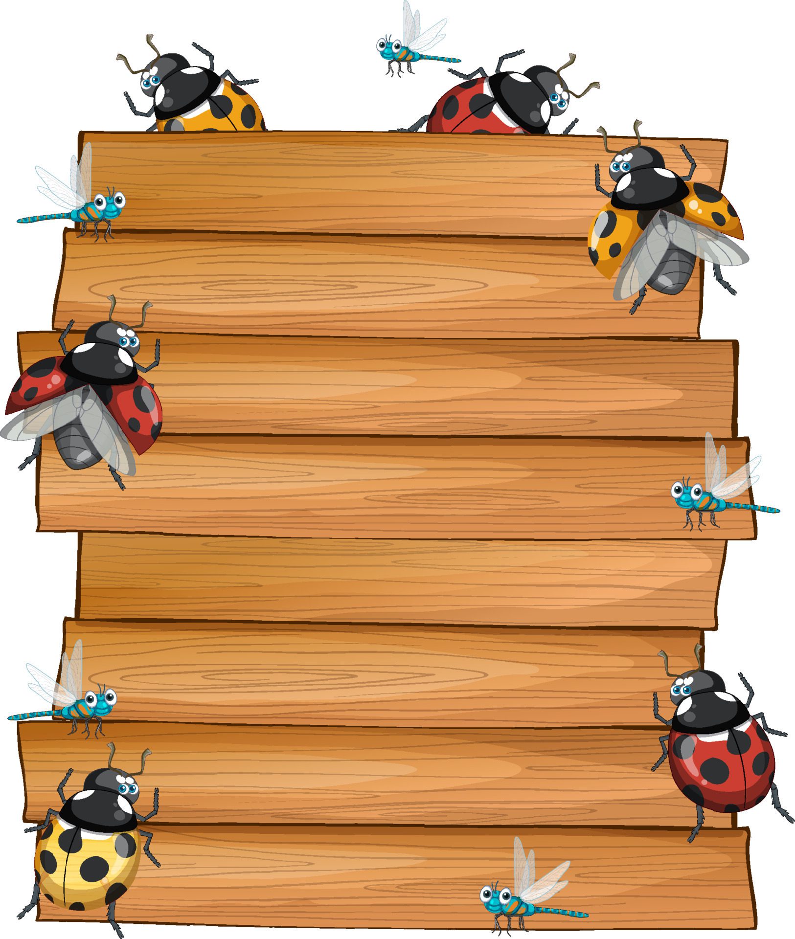 Insect with wooden frame board banner Free Vector