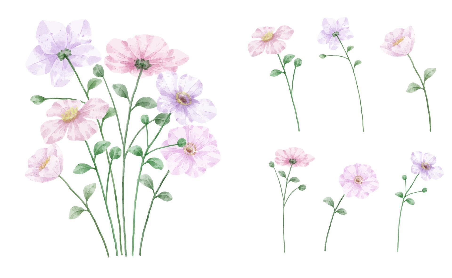 A set of flowers painted in watercolor for designer work create Stock Free