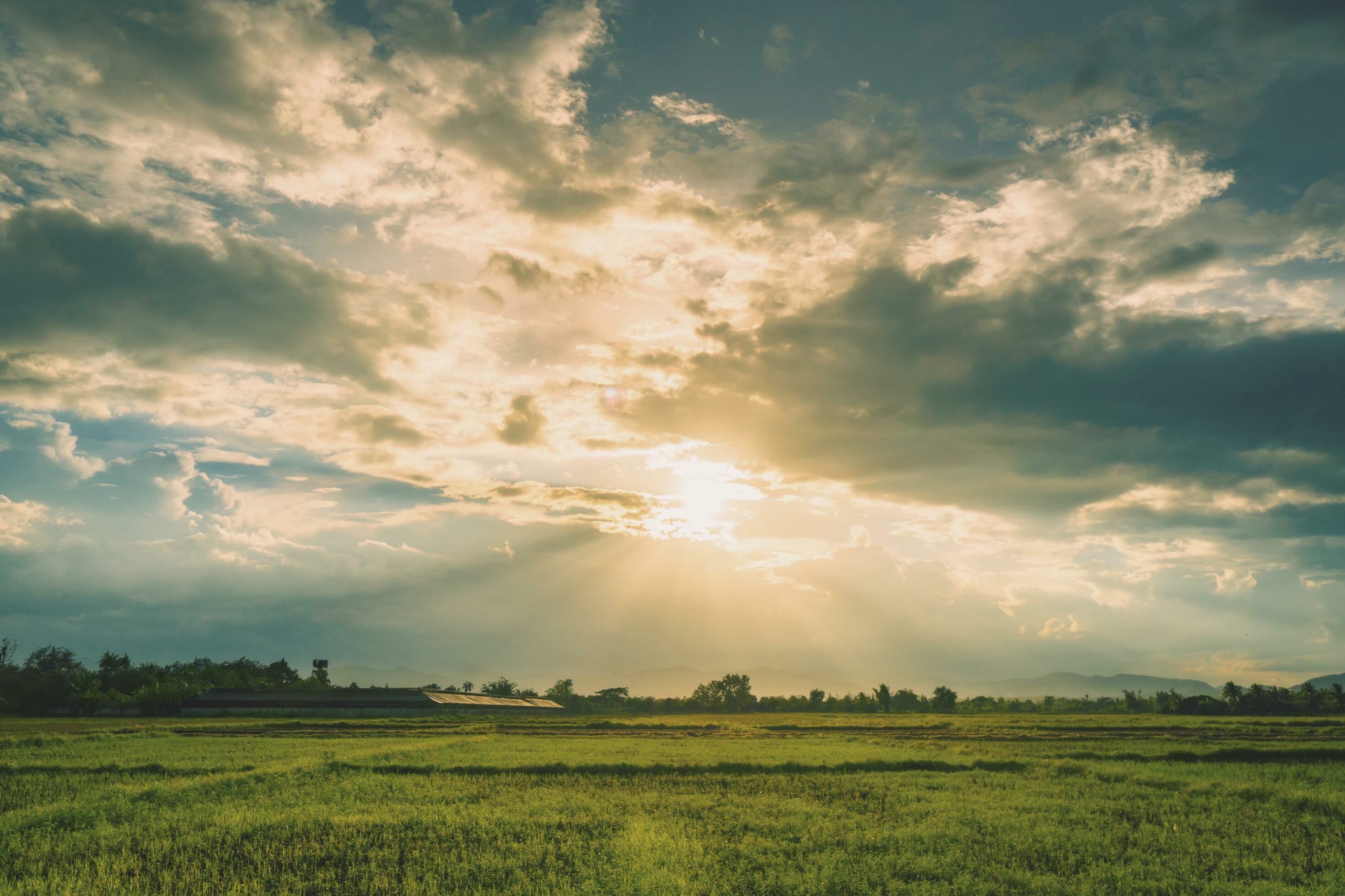 Natural scene Sky clouds and field agricultural sunset background Stock Free