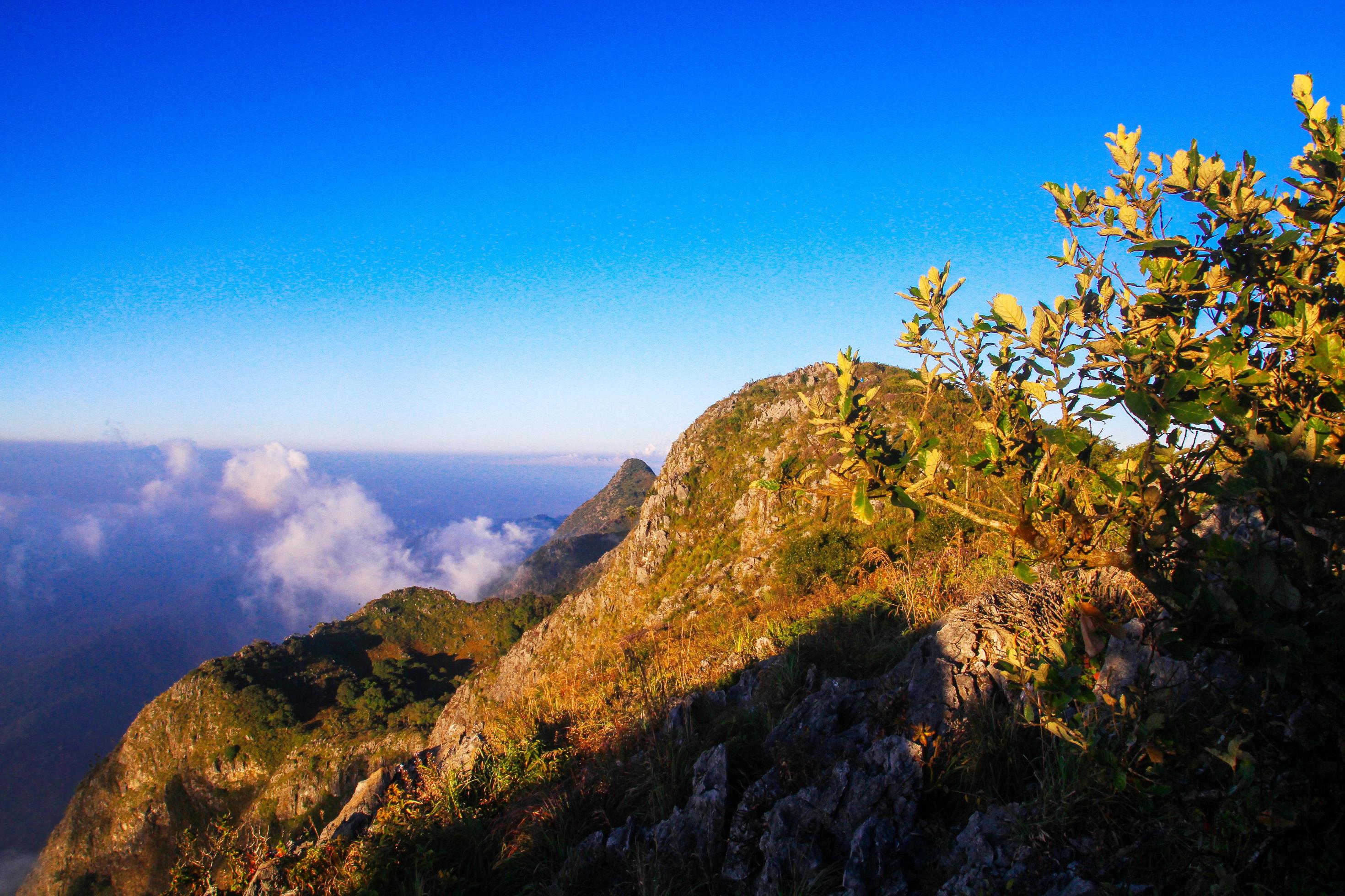 Sunrise in morning with sky and cloud on the mountain. Sunray with Fog and mist cover the jungle hill in Thailand Stock Free