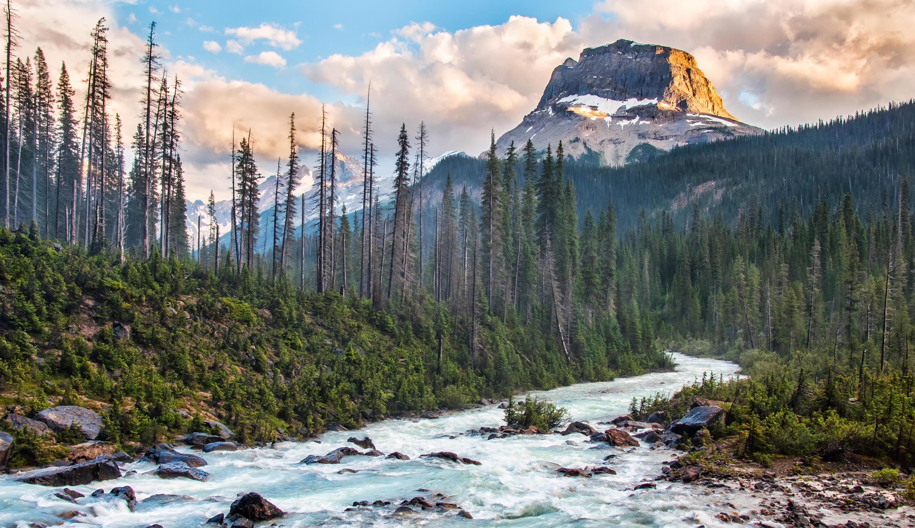 Mountains and river at sunset Stock Free