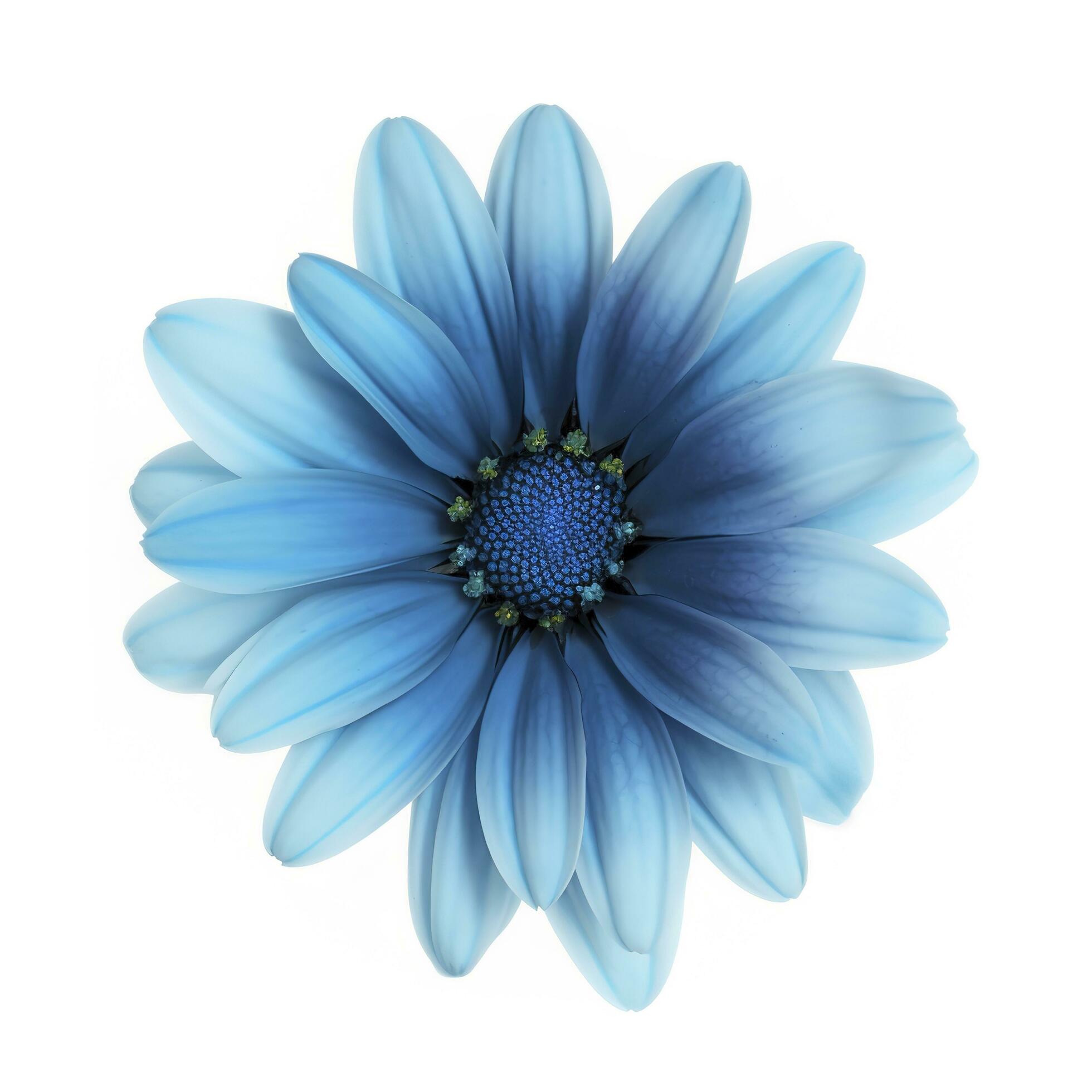 Blue flower isolated on white background, generate ai Stock Free