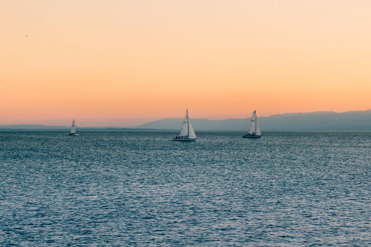 Sea Sail Boats Sunset Stock Free