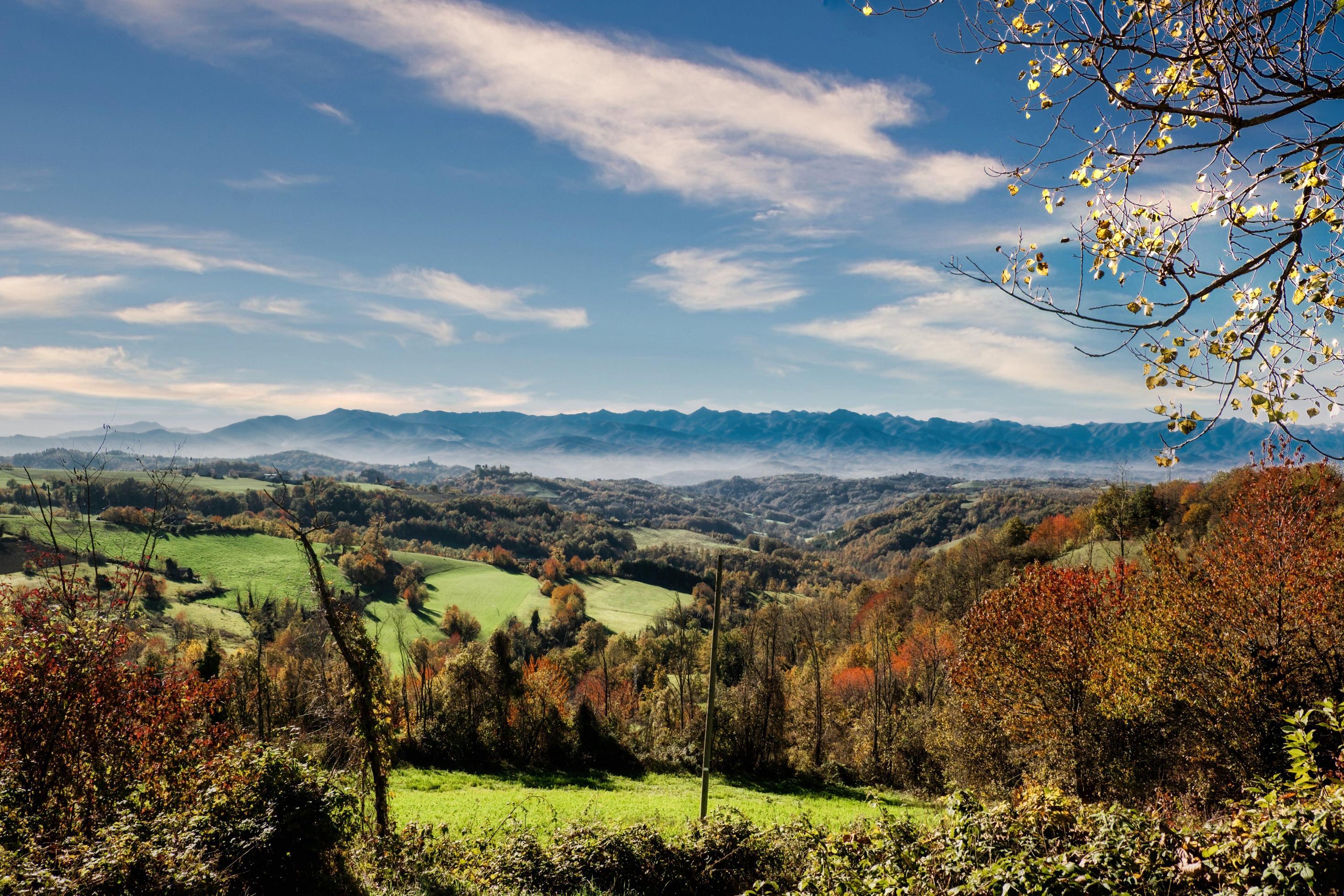 autumn landscapes of the Piedmontese Langhe with its colors and hills near Alba, in the province of Cuneo Stock Free