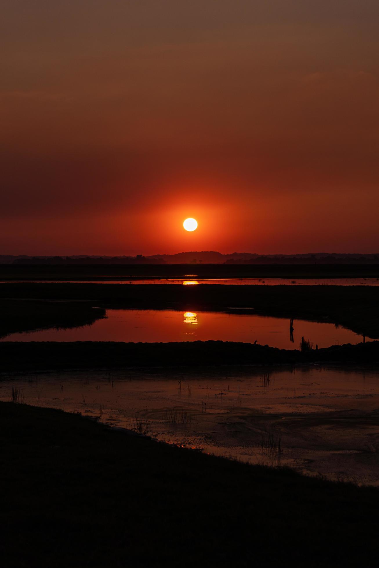 End of the afternoon, Nature, Landscape photo of a river at sunset Stock Free