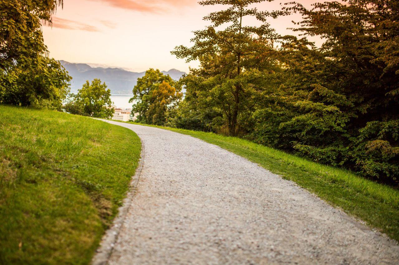 Driveway Grass Trees Sunset Stock Free