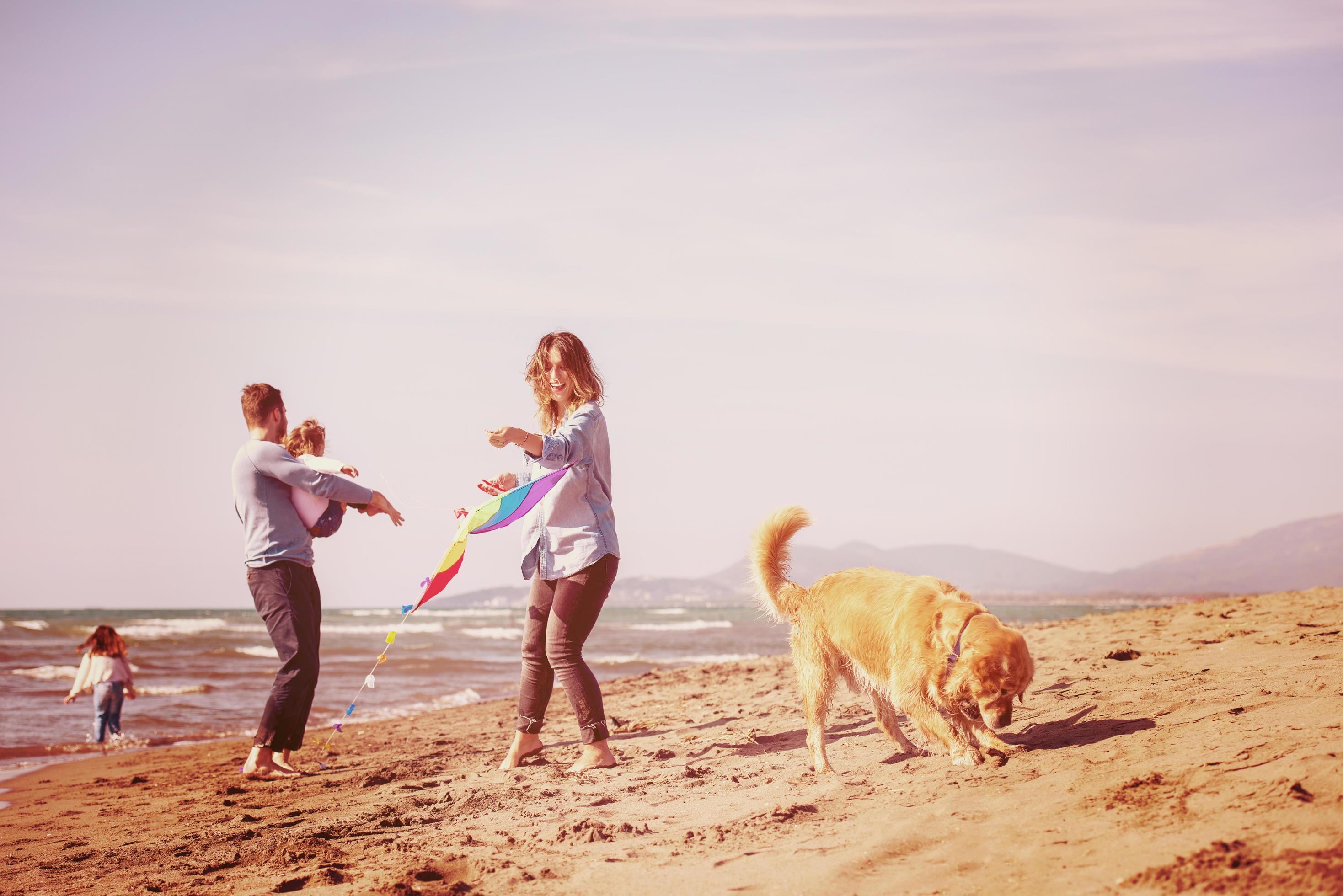 happy young family enjoying vecation during autumn day Stock Free