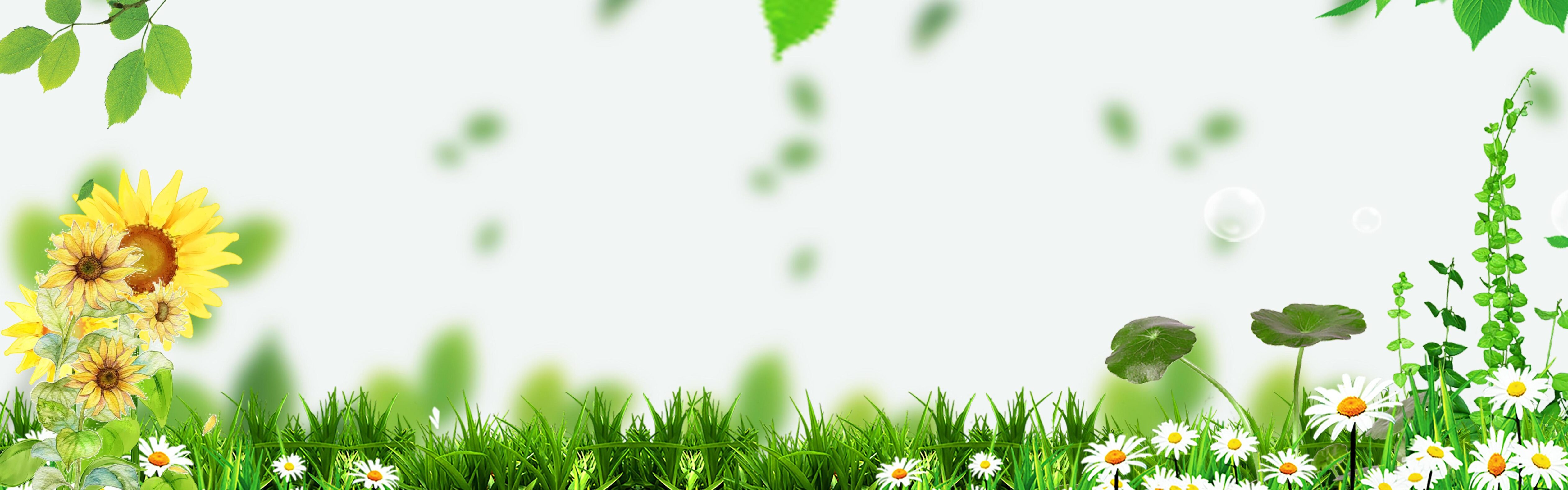 Beautiful Nature Background Green Stock Free