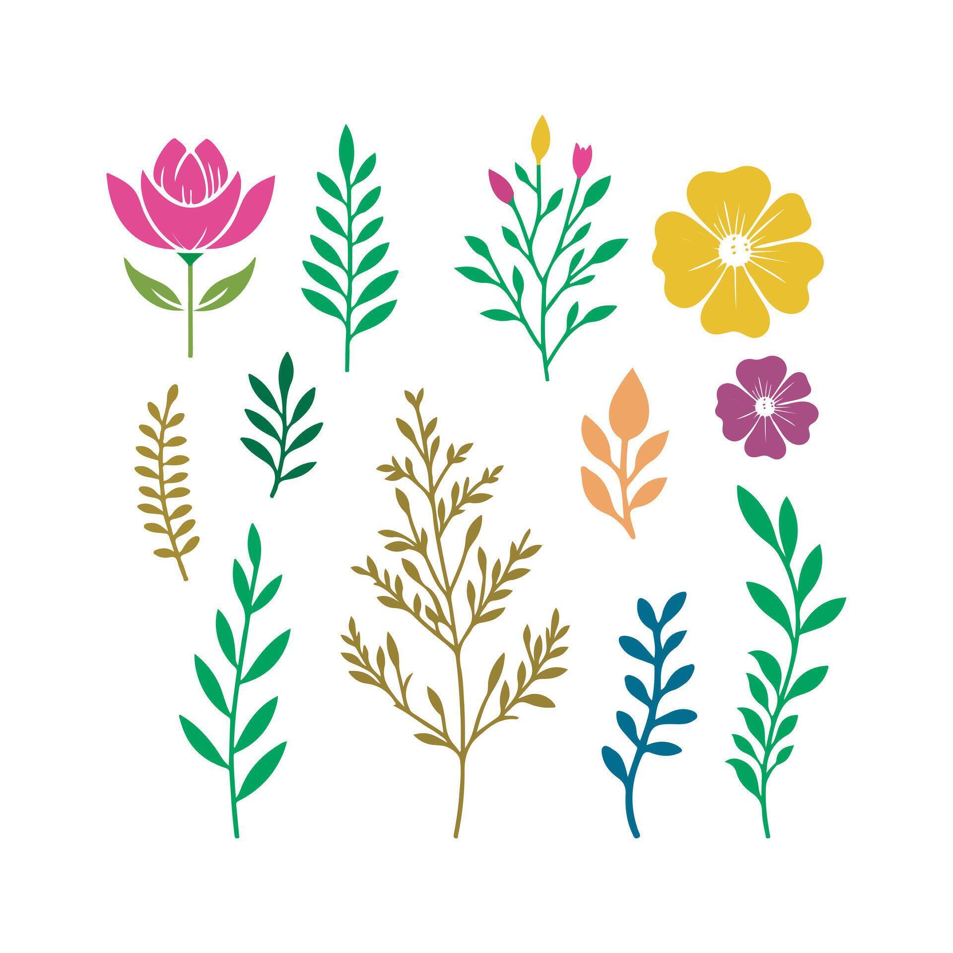 Simple and botanical vector flowers, flat design Stock Free