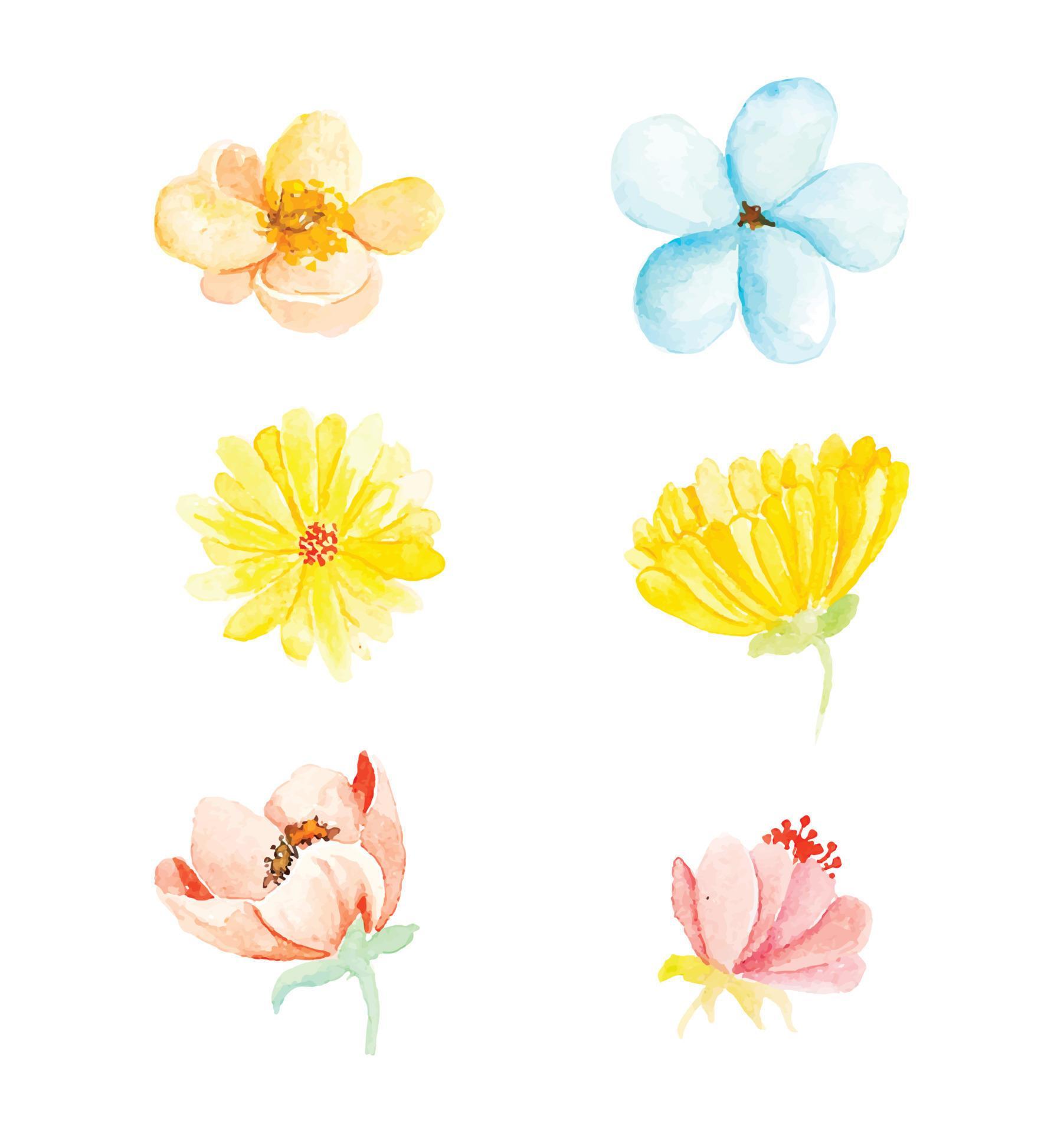 Beautiful watercolor spring flowers Stock Free