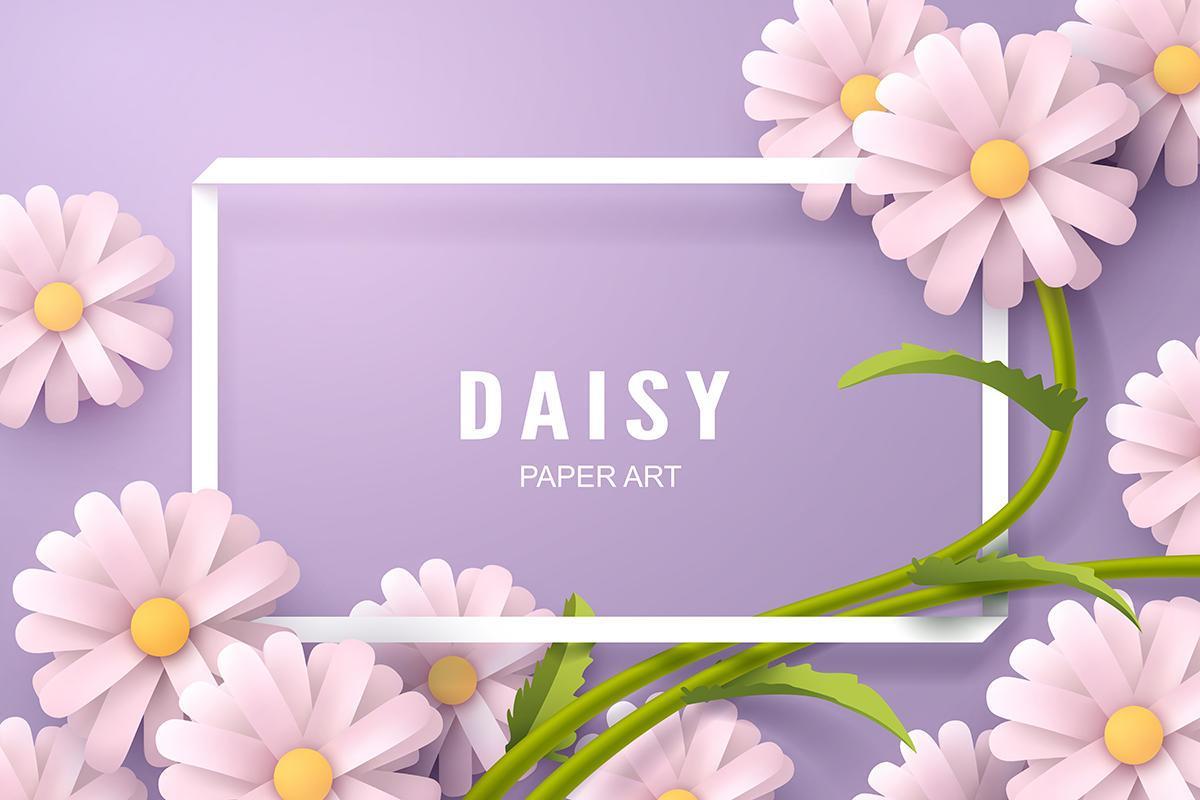 Paper art of Daisy flower and background template Stock Free