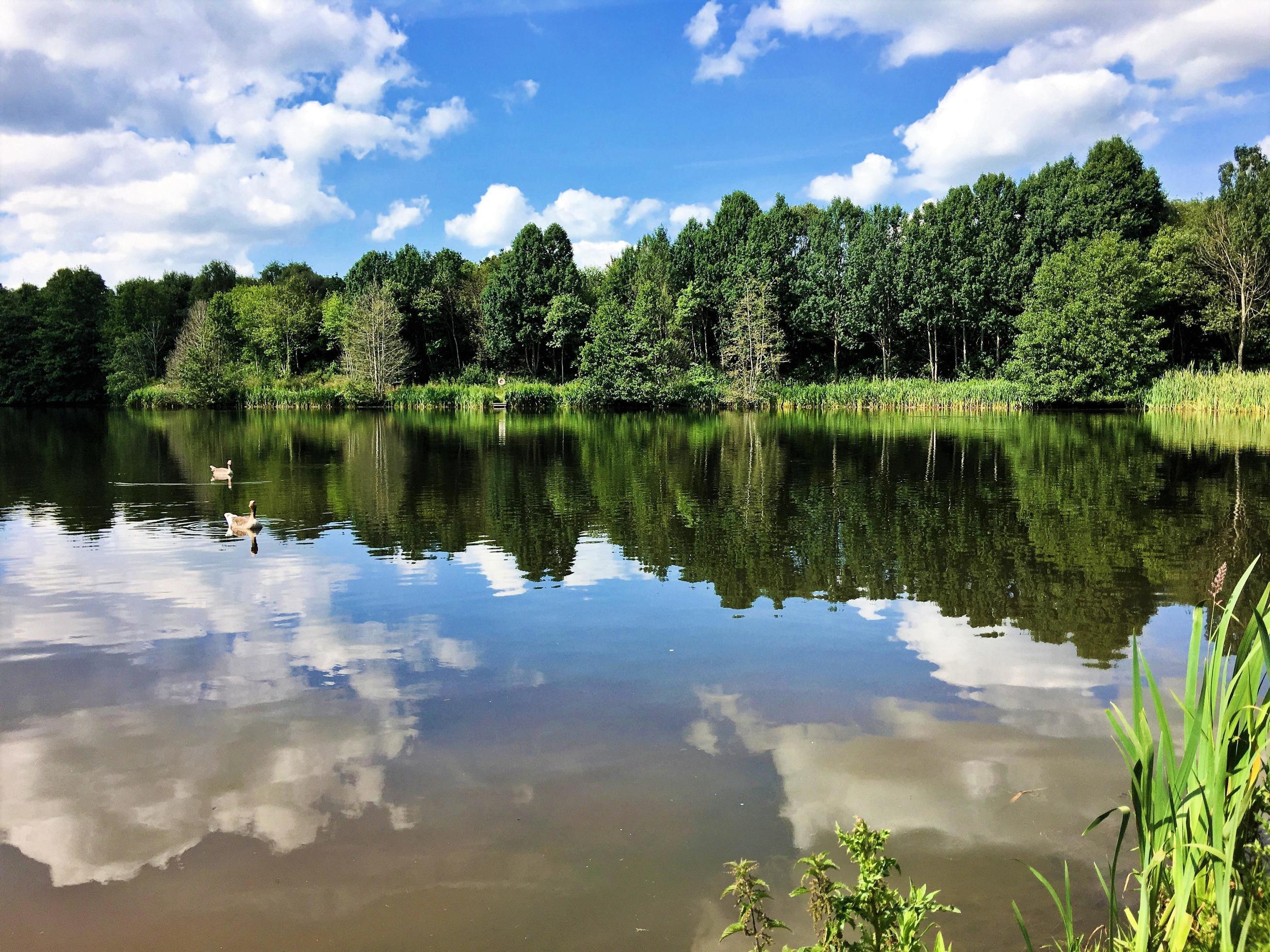 A view of Alderford Lake near Whitchurch in Shropshire Stock Free