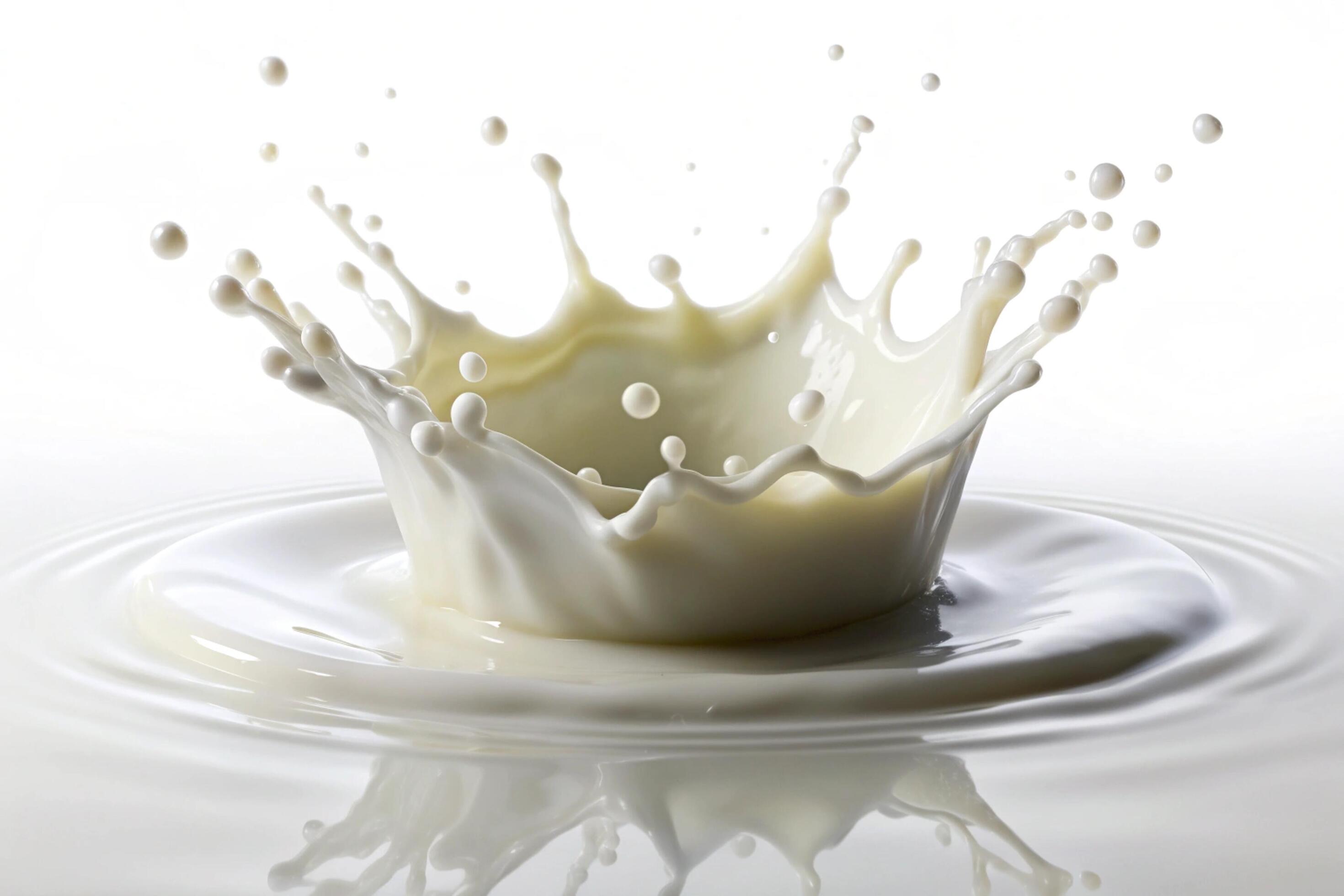 Milk splashes on white background Stock Free