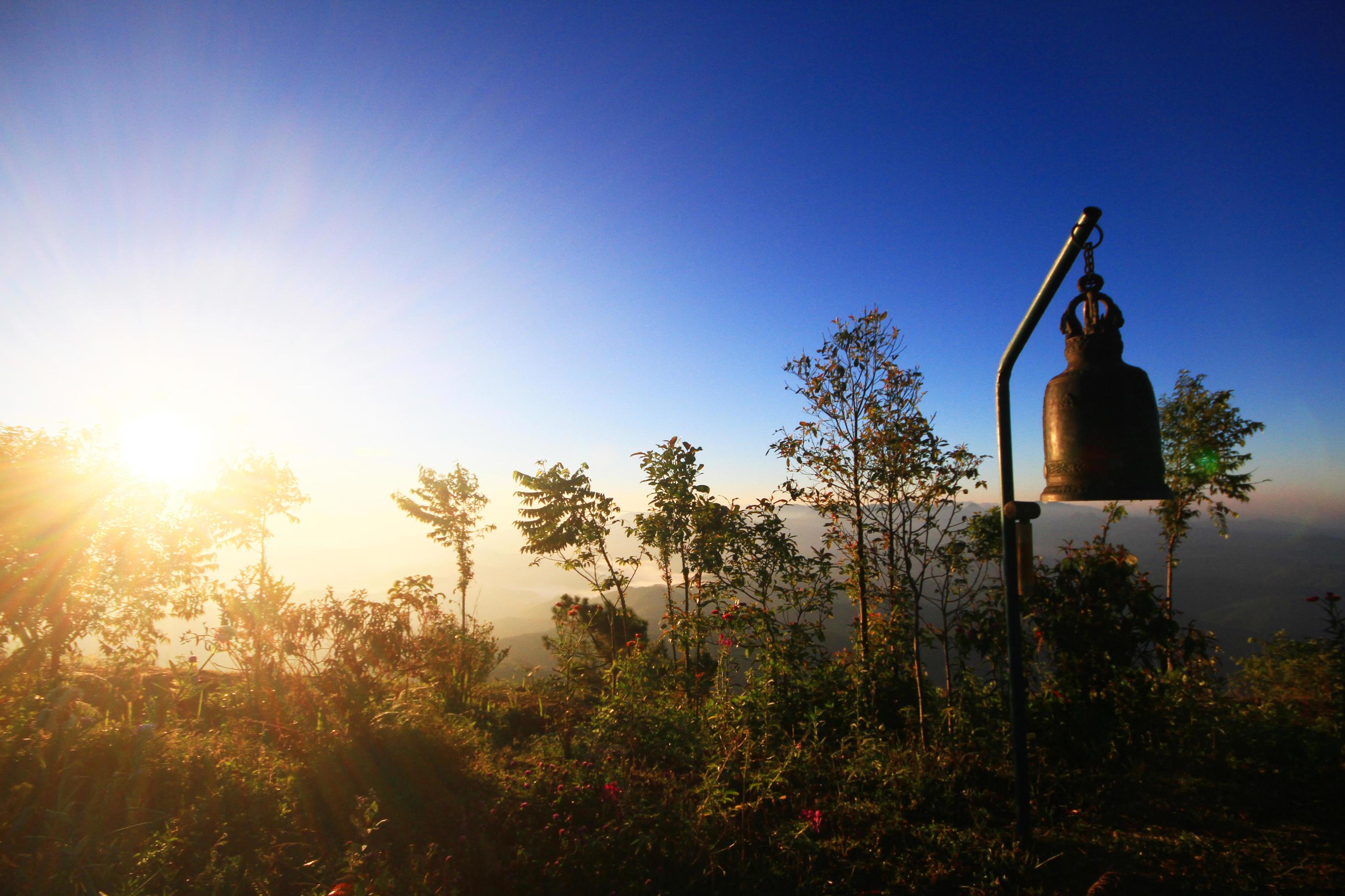 Beautiful silhouette of golden bell in twilight of sunrise with wild and forest on the valley mountain Stock Free