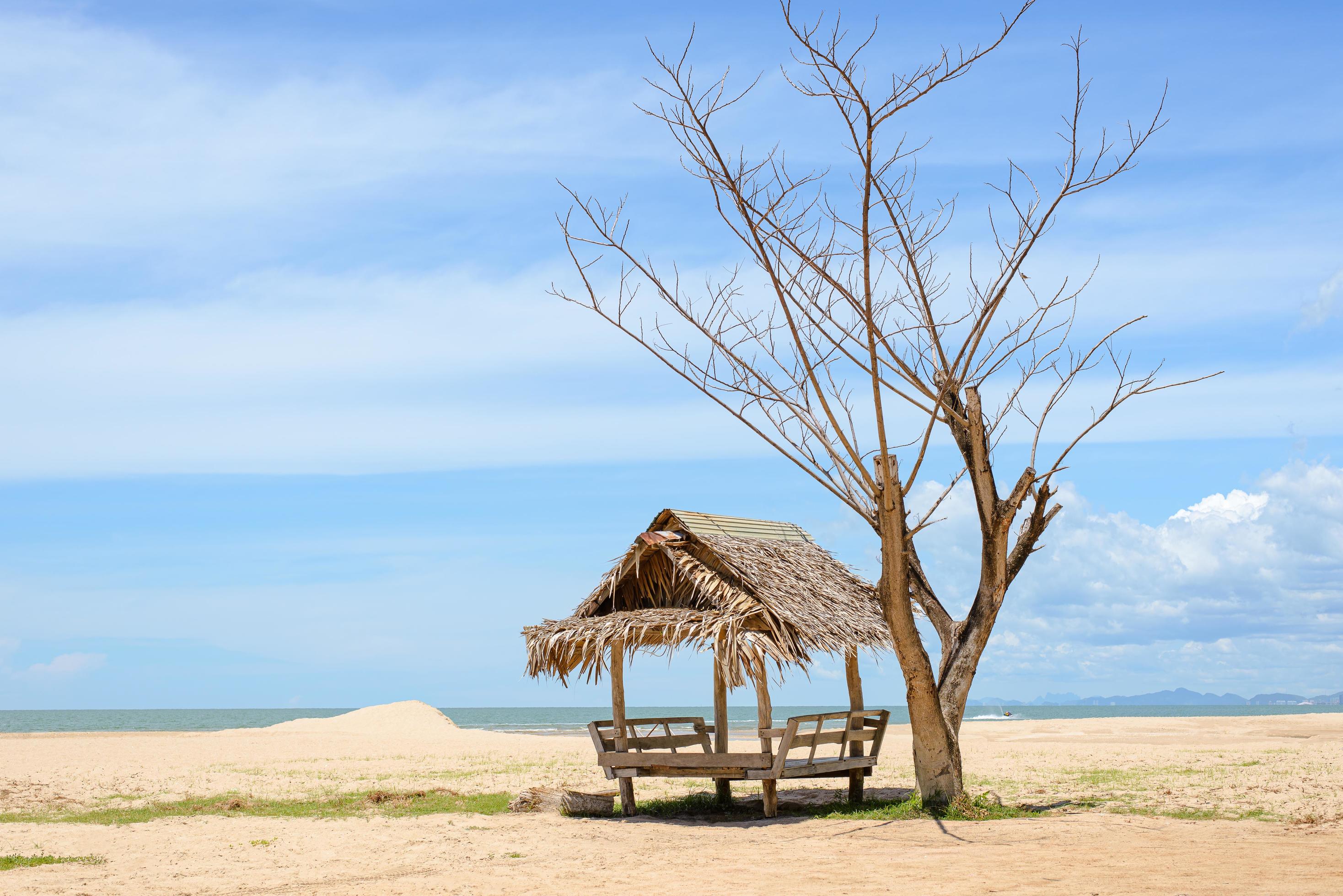 Hut and dead trees on the beach and sky background Stock Free