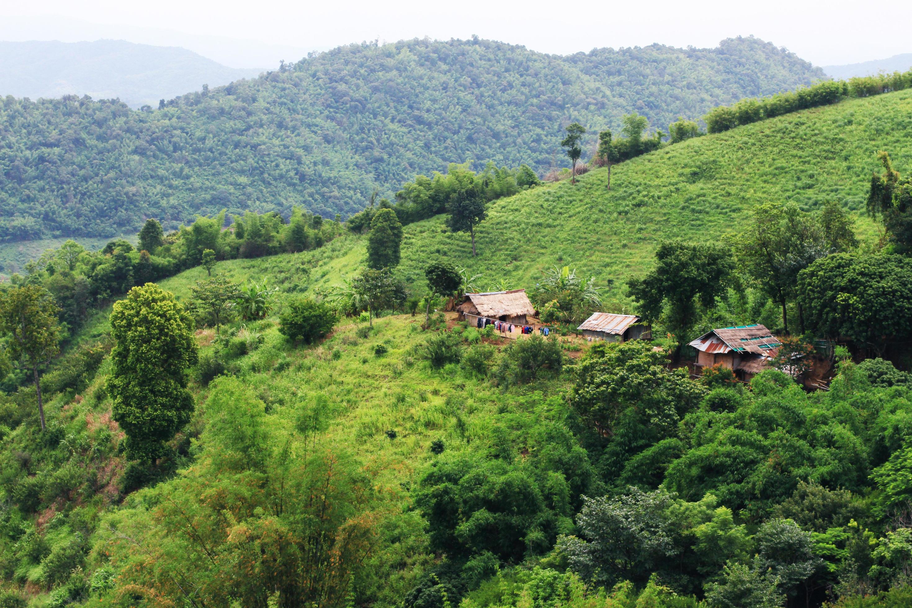 Aerial view Hill tribe village and Tea Plantation in sunrise on the mountain and forest is very beautiful view in Chiangrai Province, Thailand. Stock Free