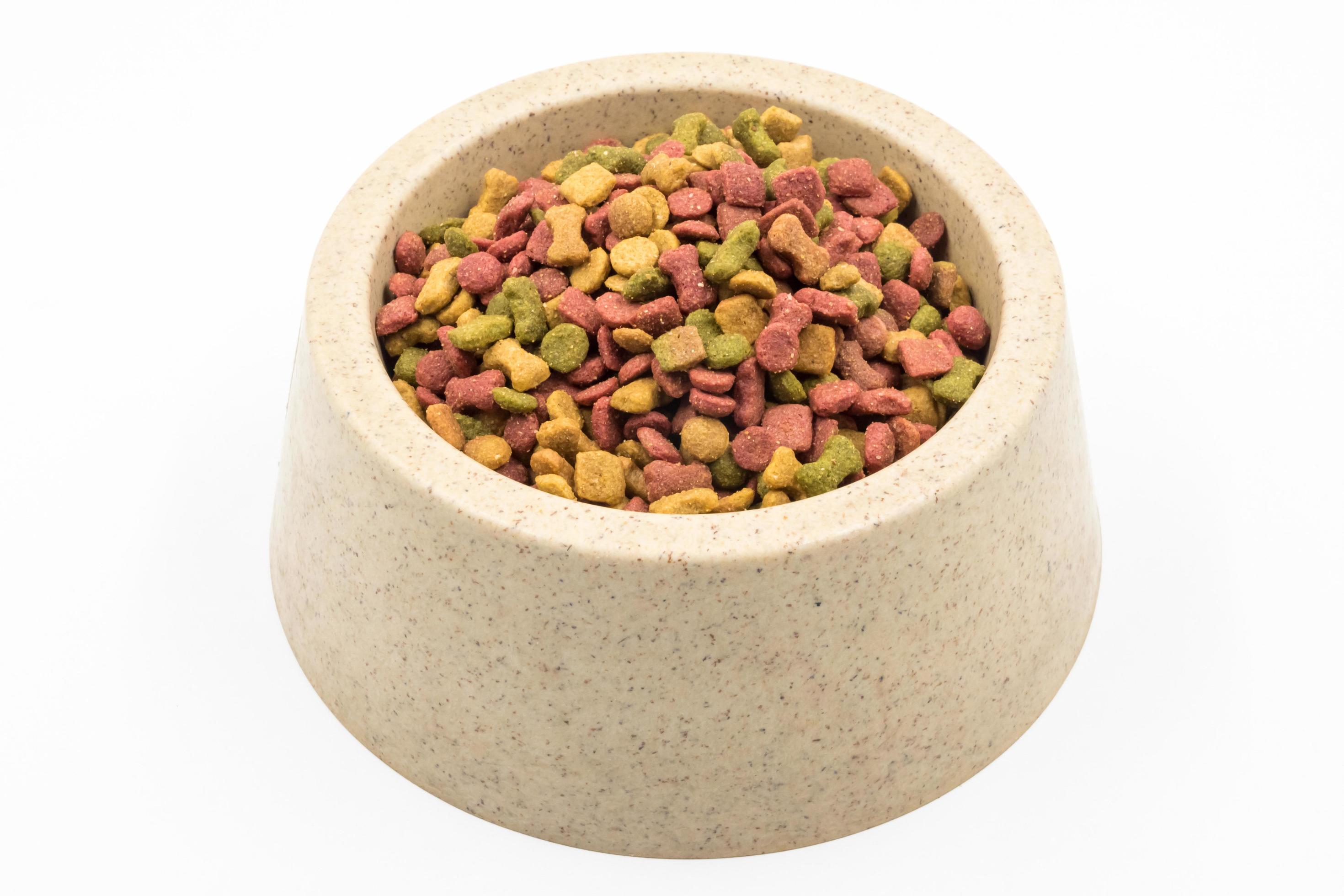 Dog food in a bowl on white background. Stock Free