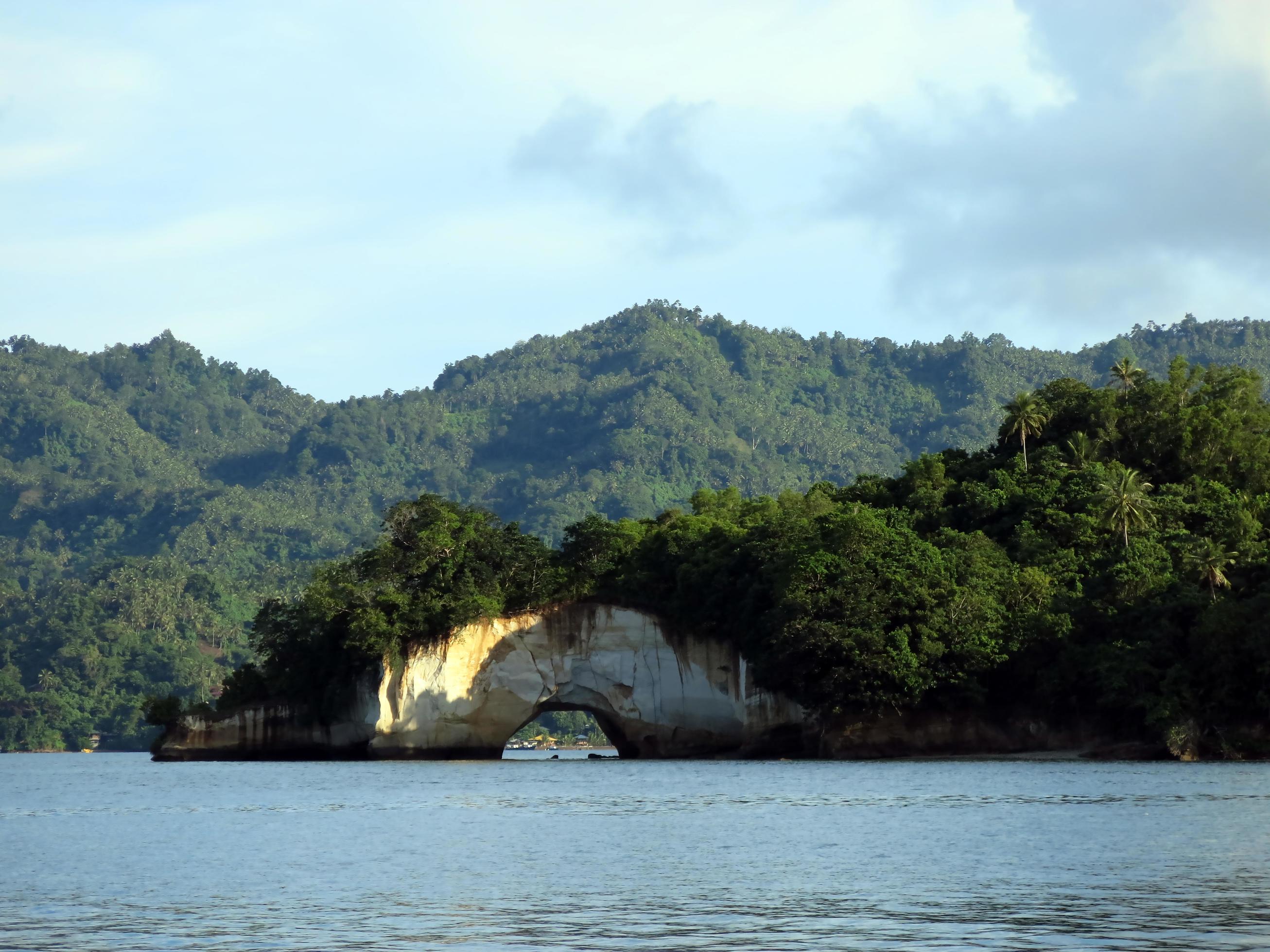 The nature of the Lembeh Strait. Stock Free