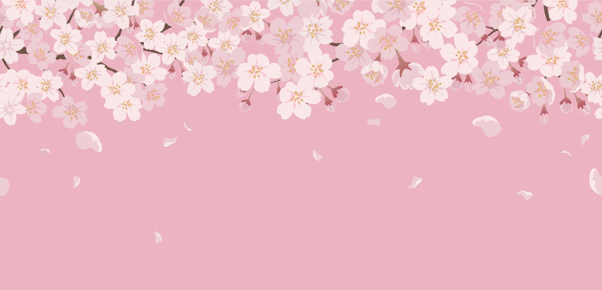 Seamless Floral Background With Cherry Blossoms In Full Bloom On A Pink Background. Horizontally Repeatable. Stock Free