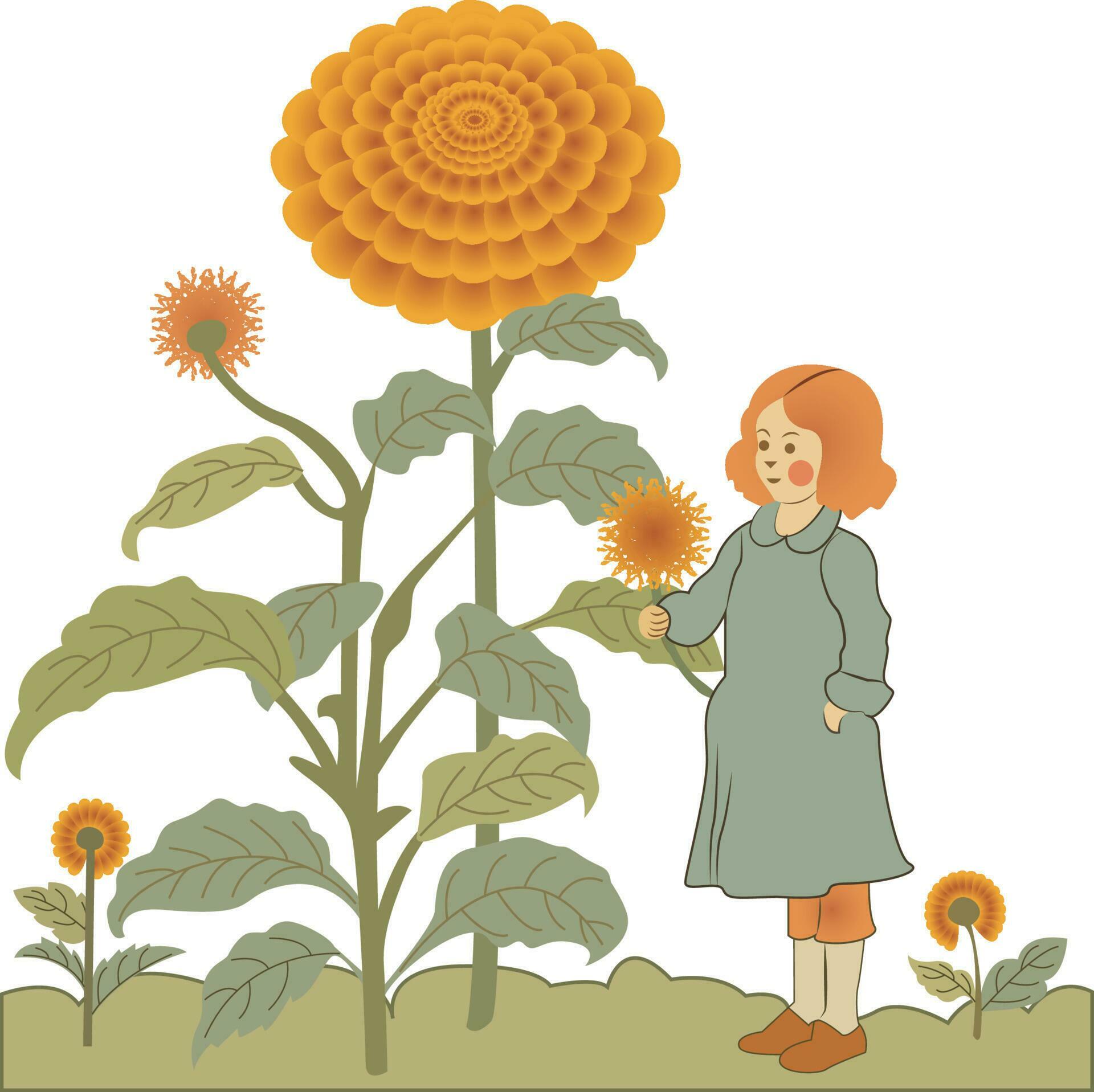 Marigold flower and a cute baby girl in a garden artwork Stock Free