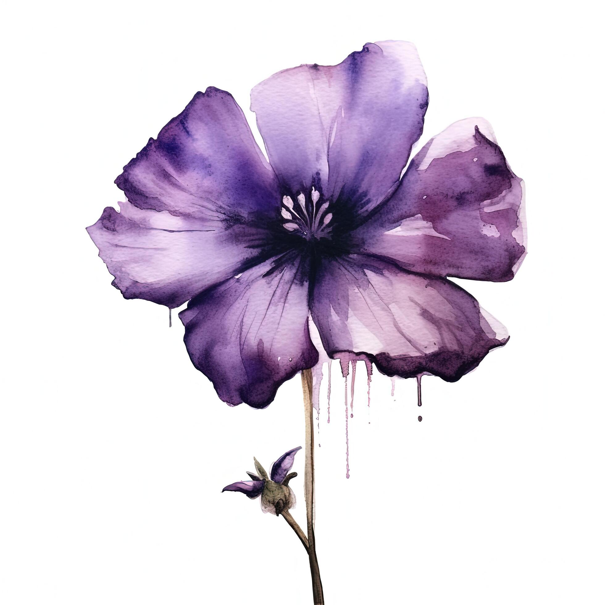 Violet watercolor flower. Illustration Stock Free