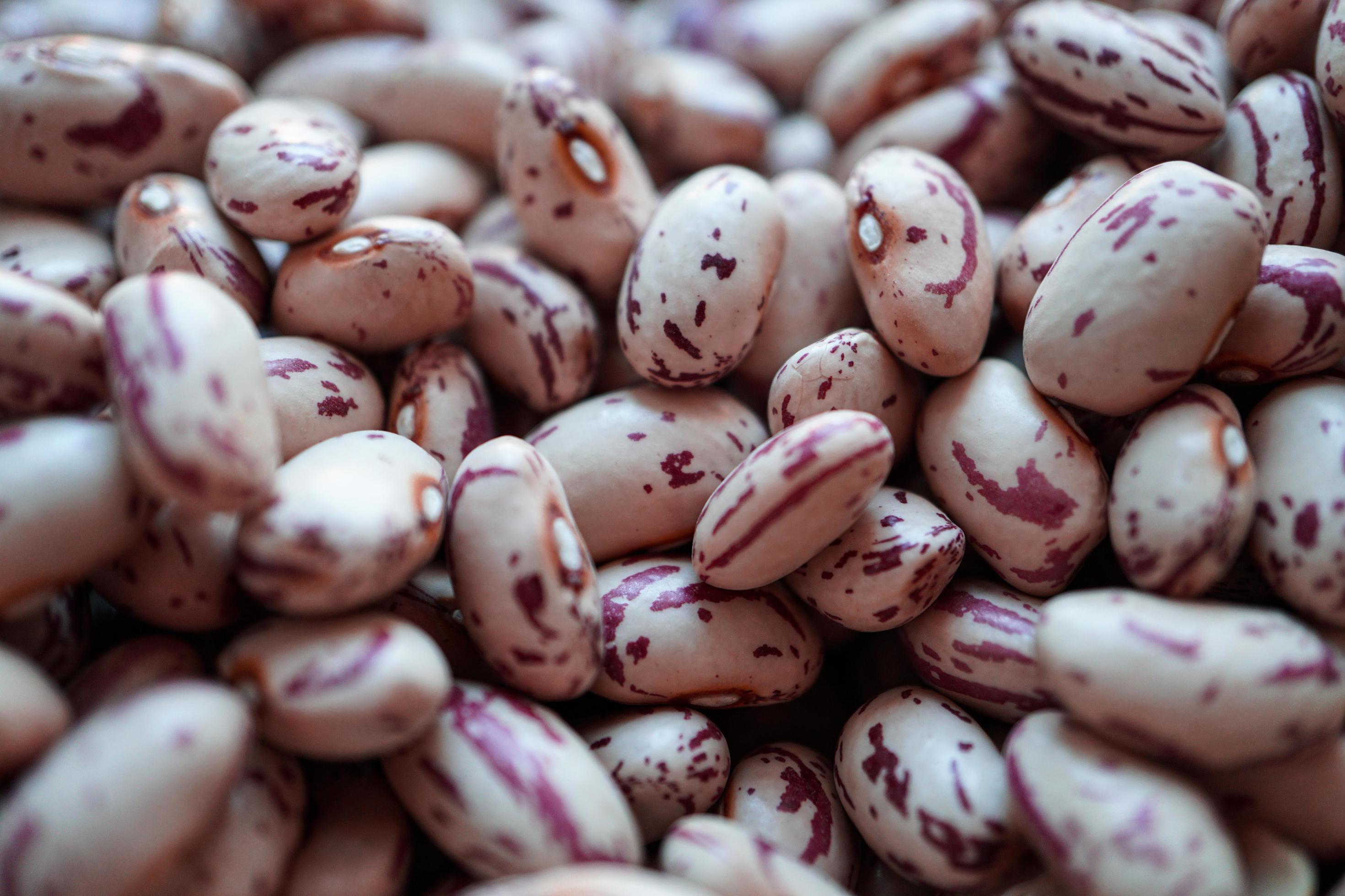 red beans for cooking, healthy food Stock Free