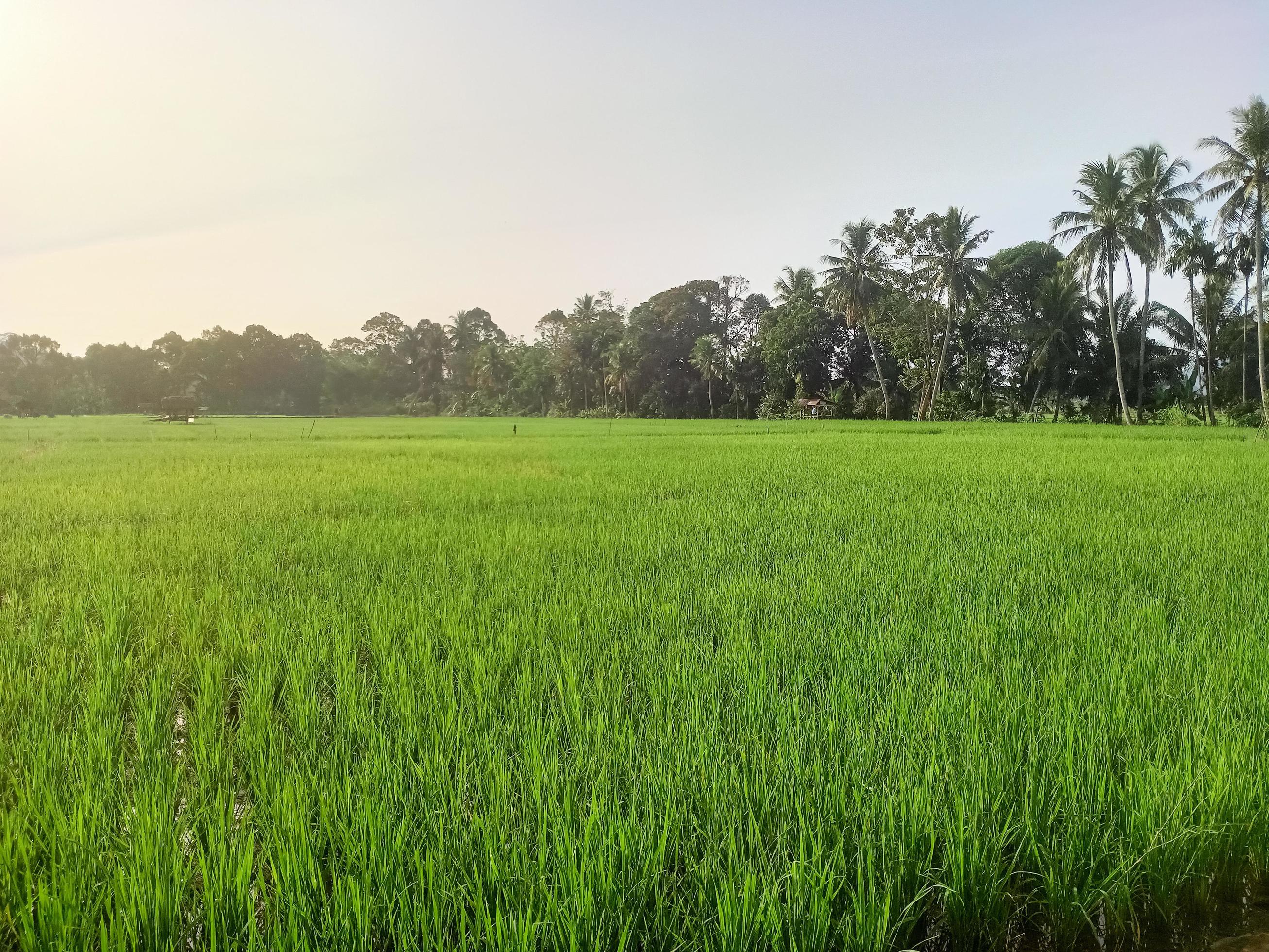 beautiful natural scenery during the day, the sky is blue, the clouds Stock Free