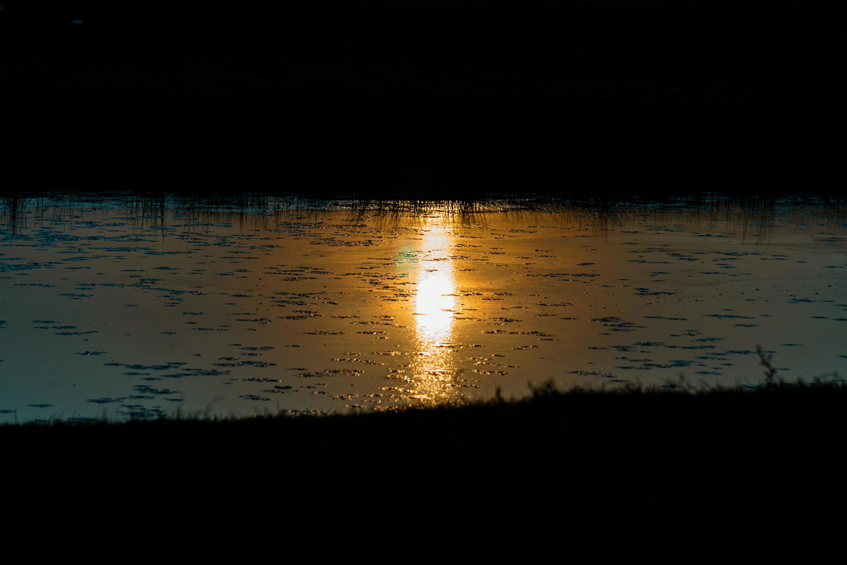 End of the afternoon, Nature, Landscape photo of a river at sunset Stock Free