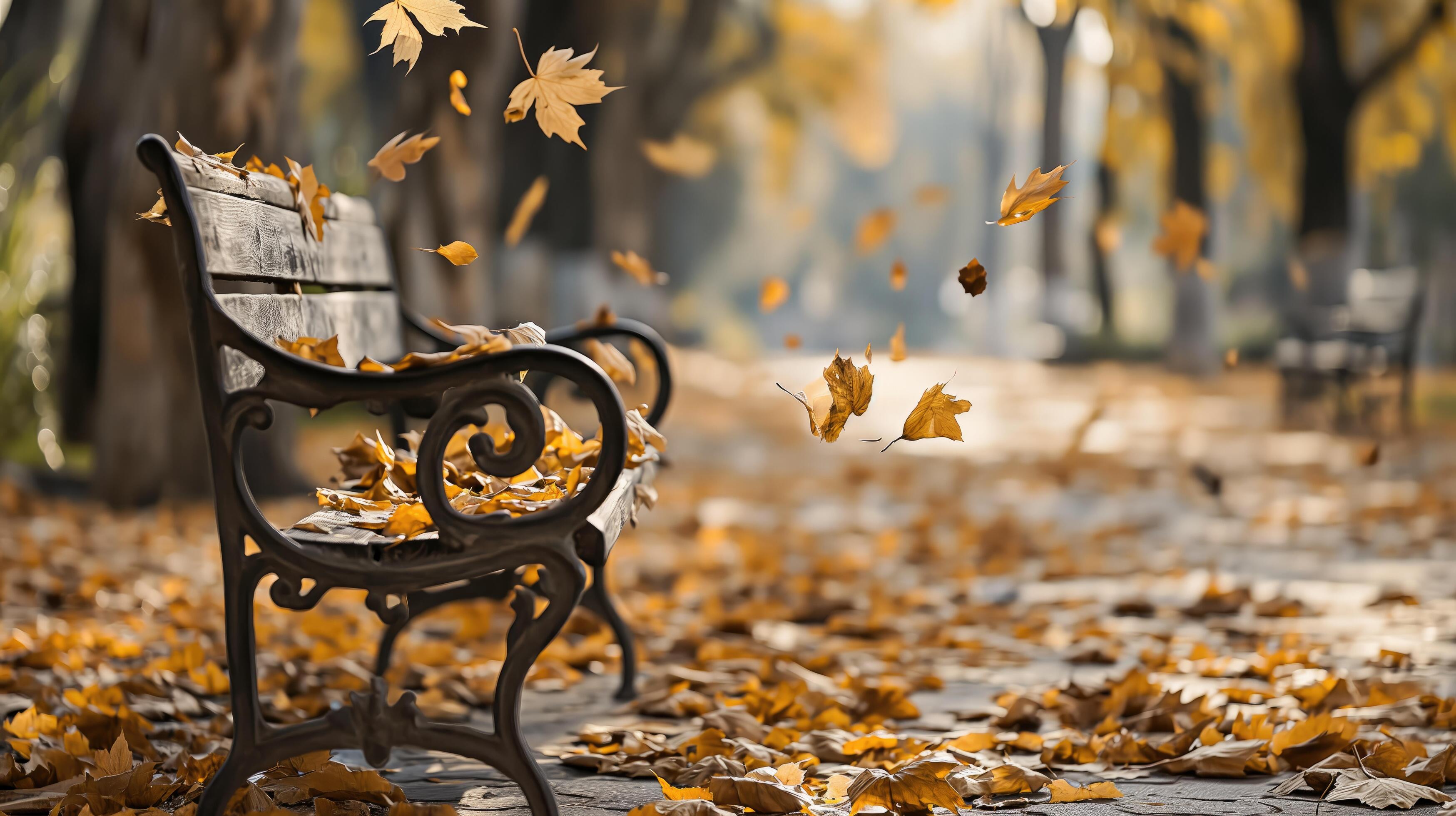 rustic bench in a park at autumn with golden leaves gently falling around Stock Free