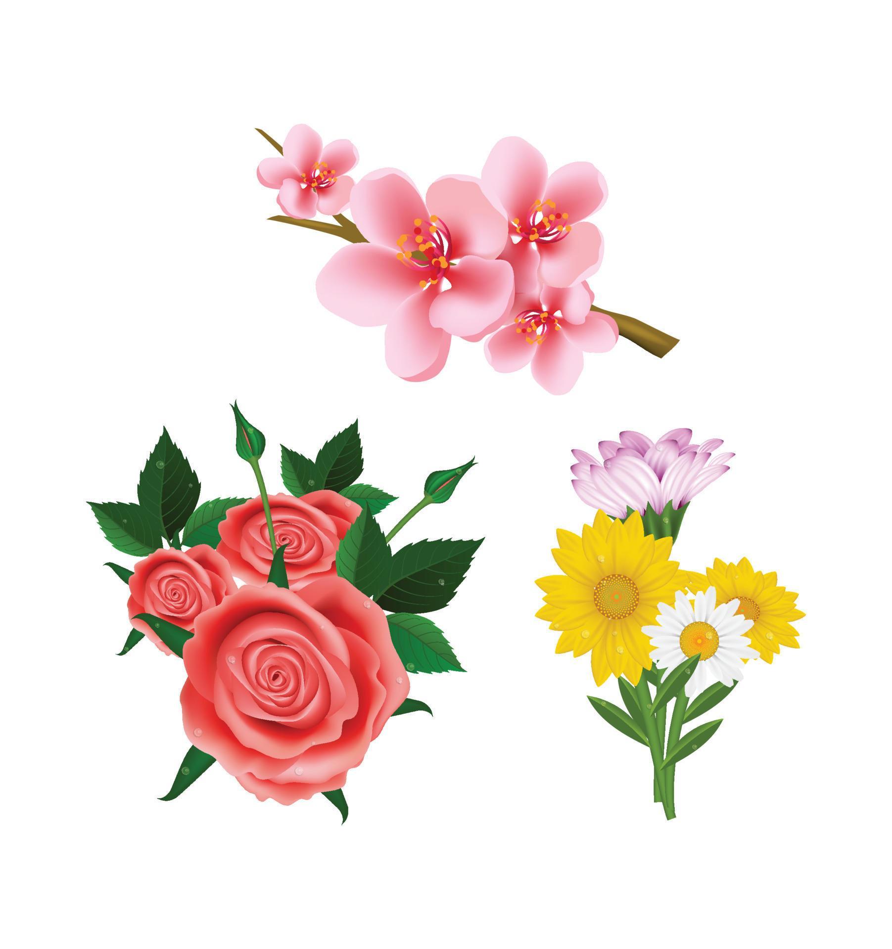 Beautiful realistic flowers collection Stock Free