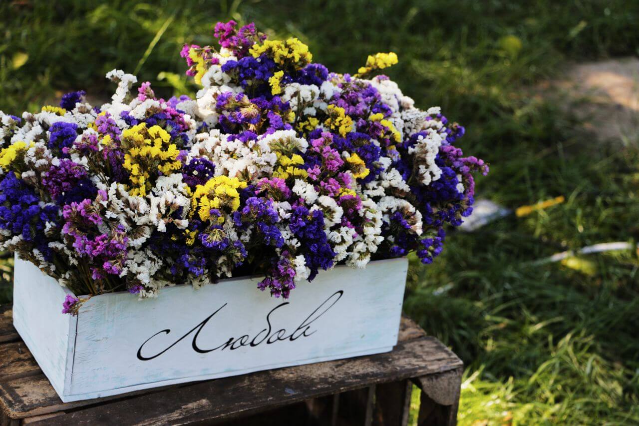 Purple Flowers on Plant Stock Free