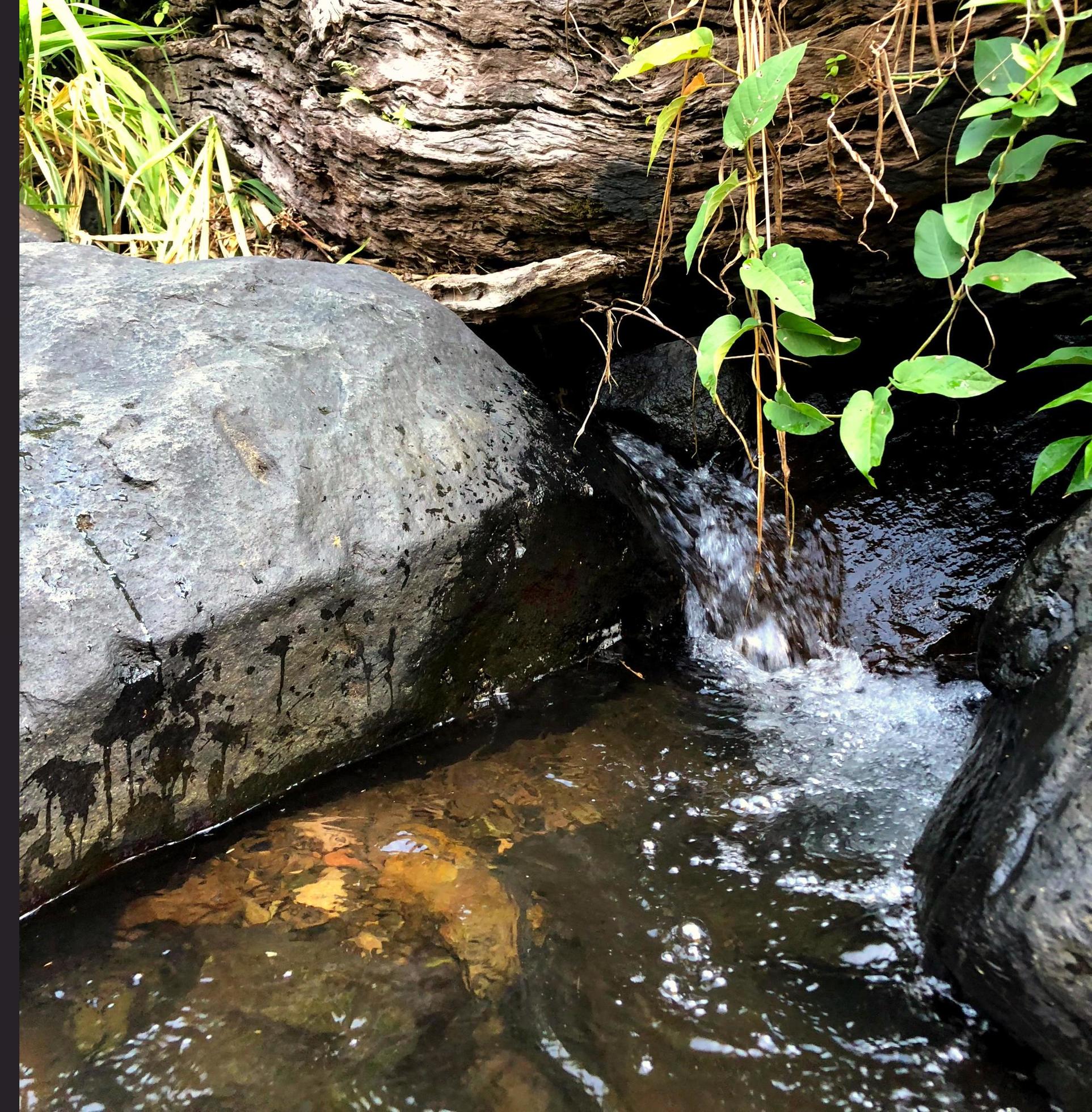 Close up small water stream in the river Stock Free