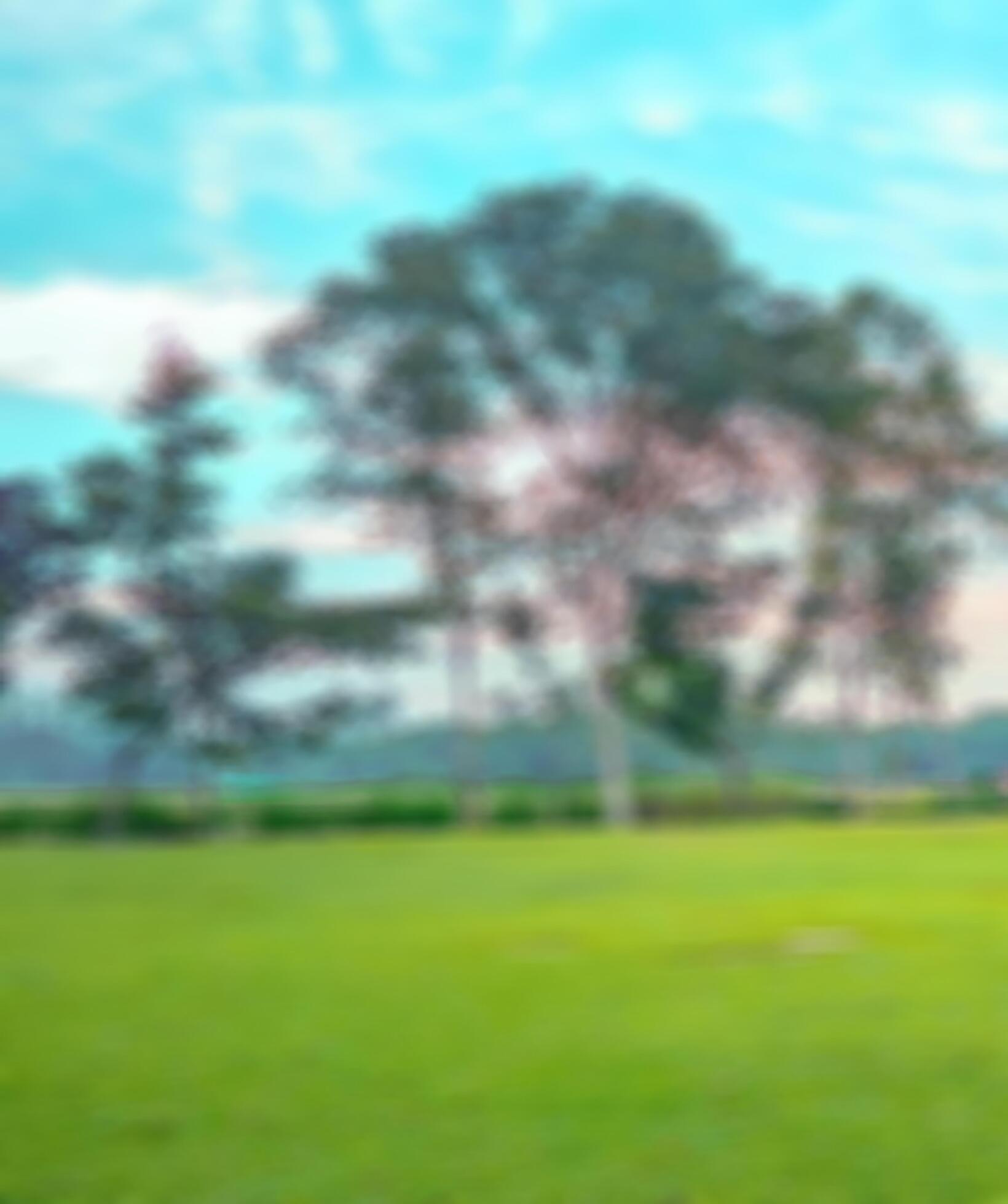 hd blur background Free Photo