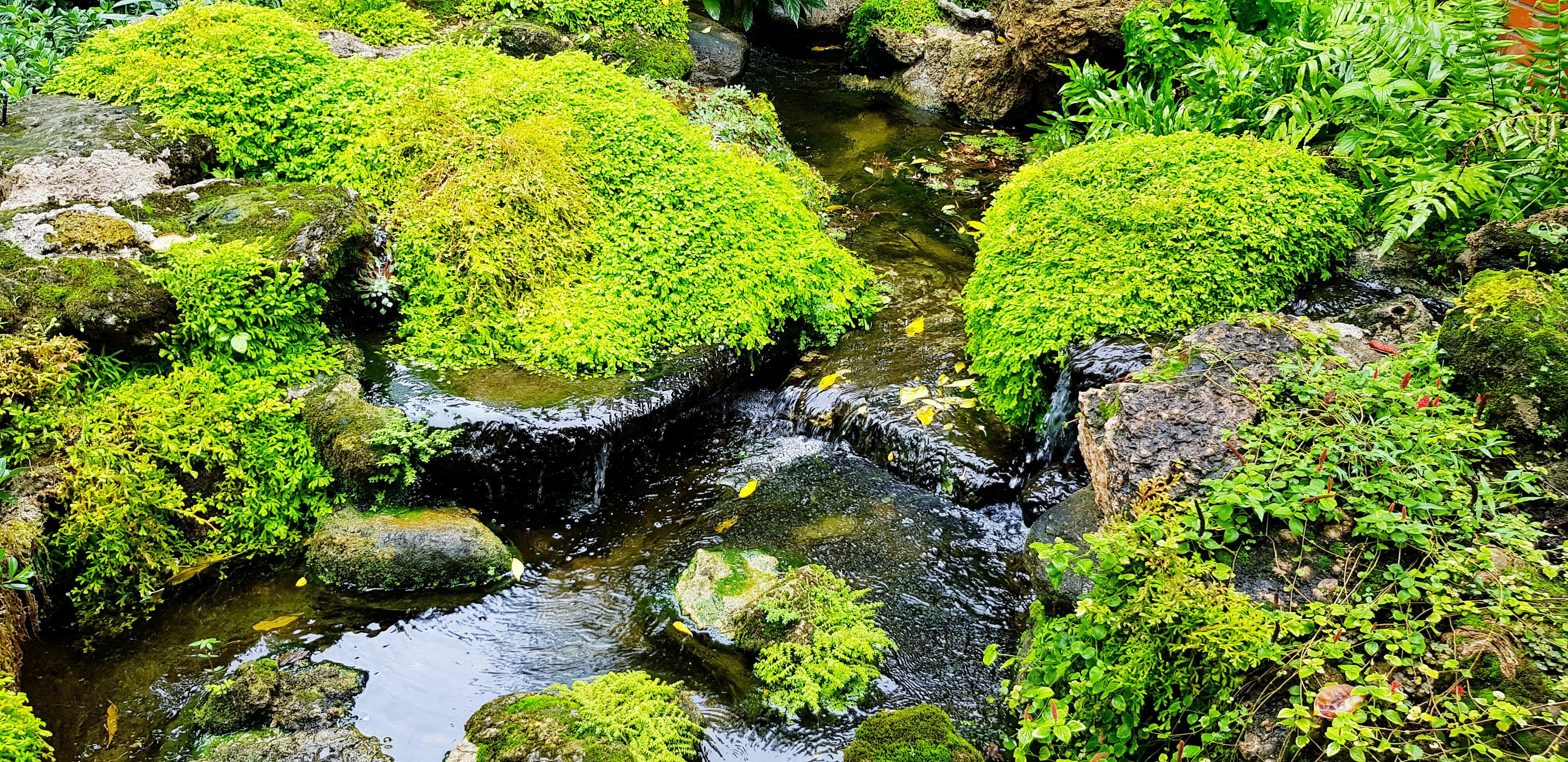 Beautiful small waterfall with green moss and tree for background. Beauty of Nature and Natural wallpaper Stock Free