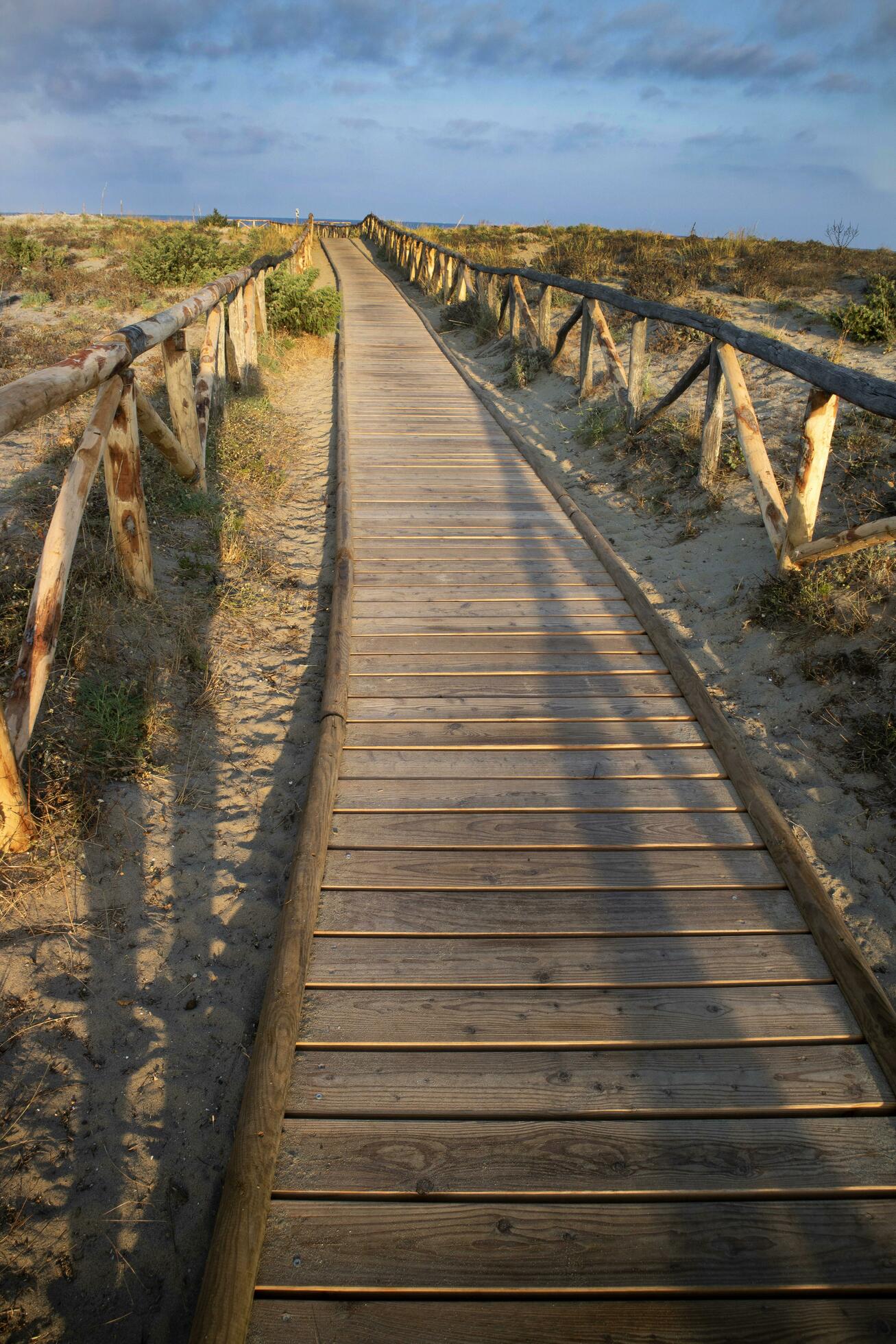 Walkway leading to the sea in the natural park of Viareggio Italy Stock Free