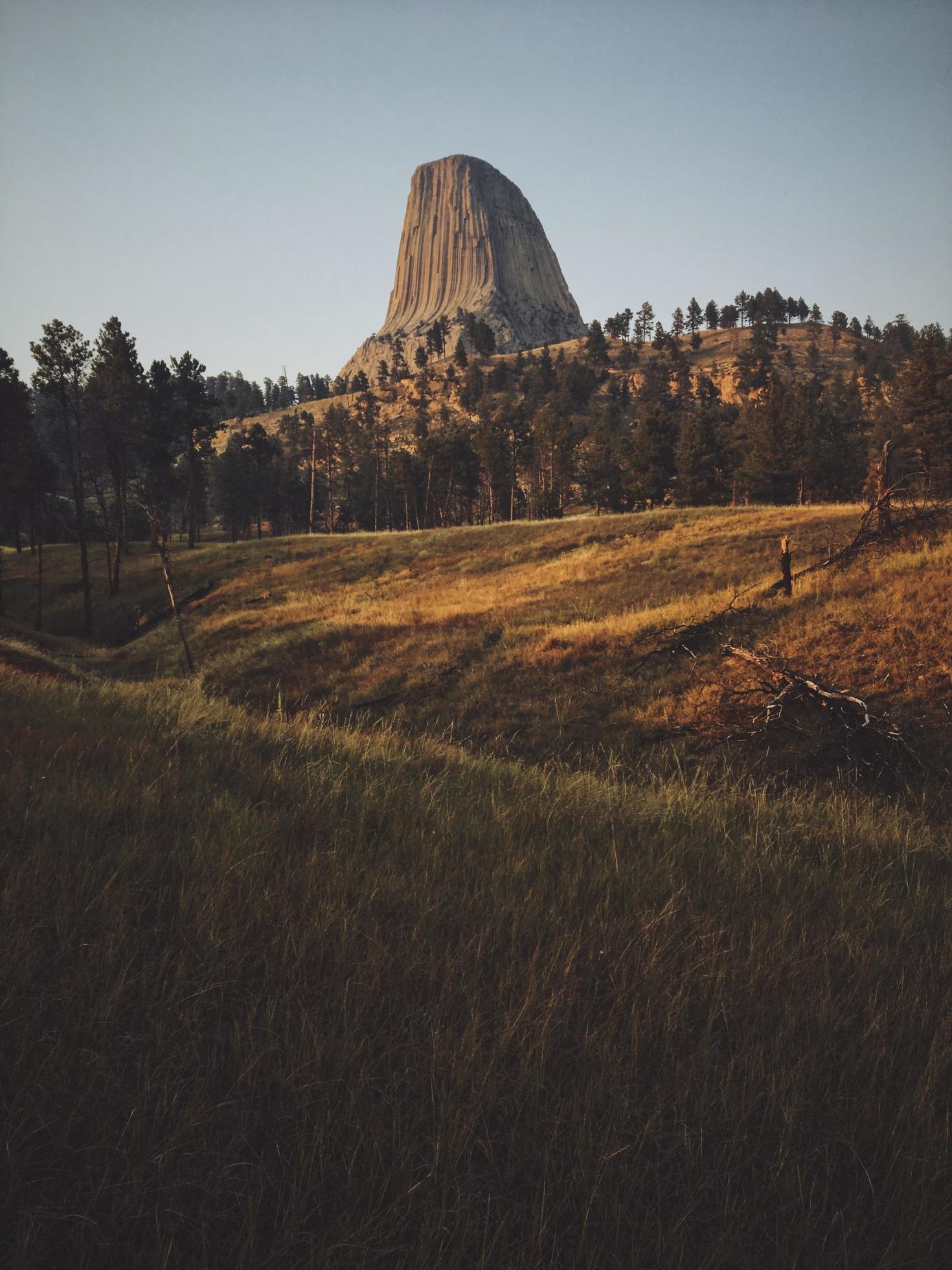 Devil’s Tower surrounded by trees Stock Free