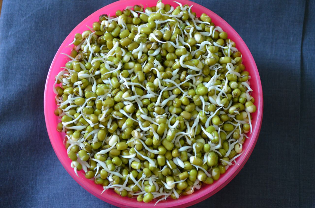 Bowl Of Sprouts Mung Moong Stock Free