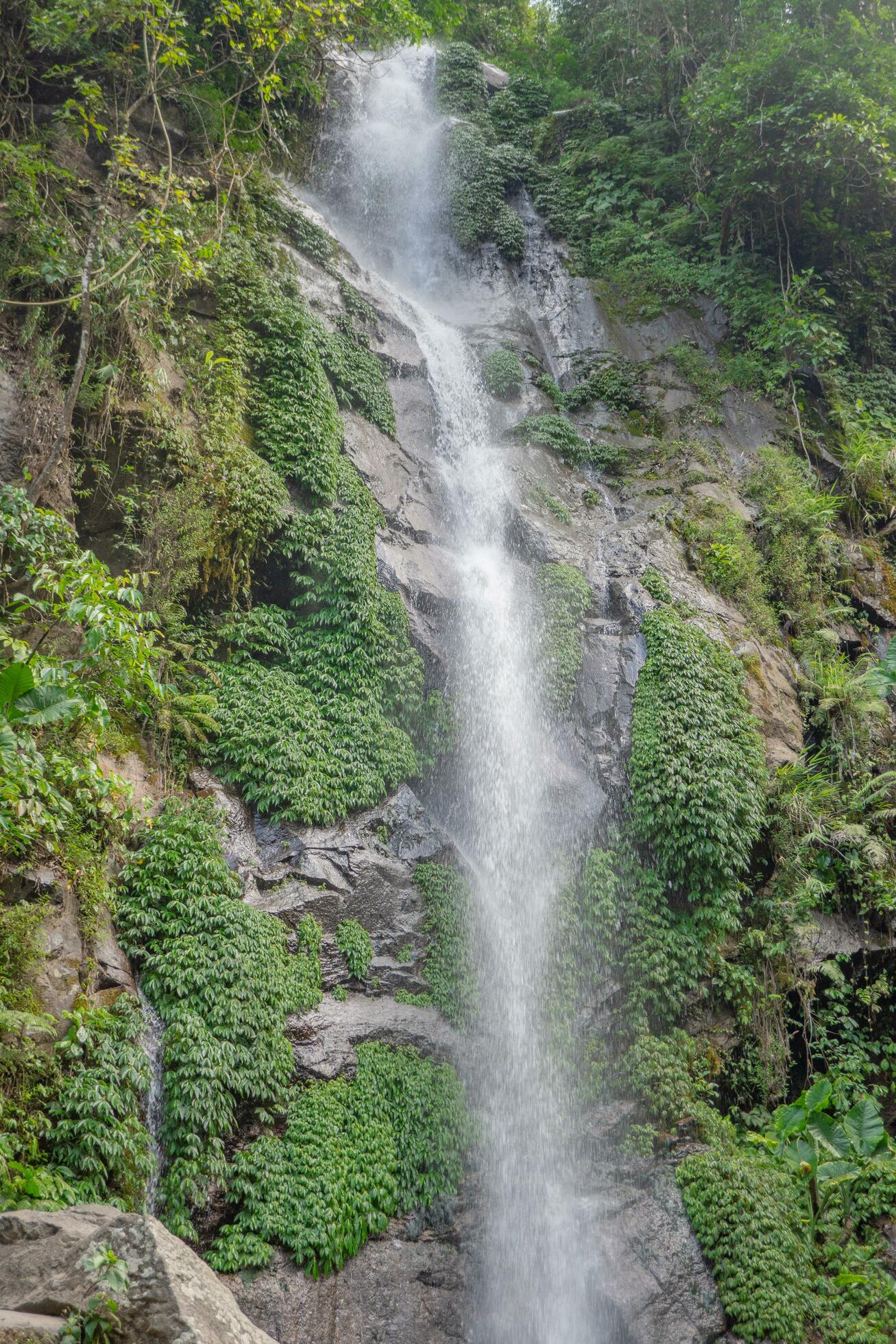 Small water fall on the tropical forest when rain season. The photo is suitable to use for adventure content media, nature poster and forest background. Stock Free