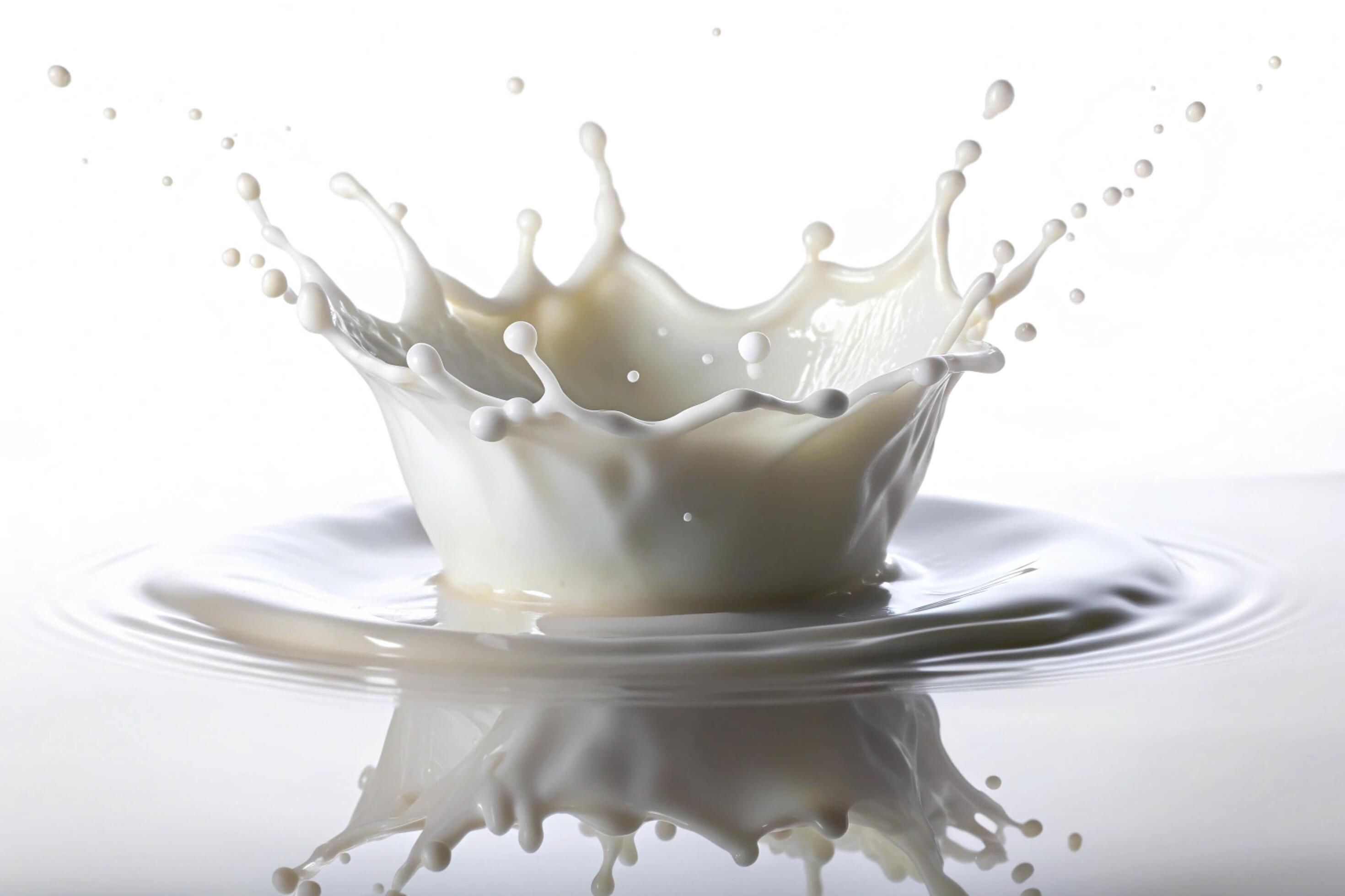 Milk splashes on white background Stock Free