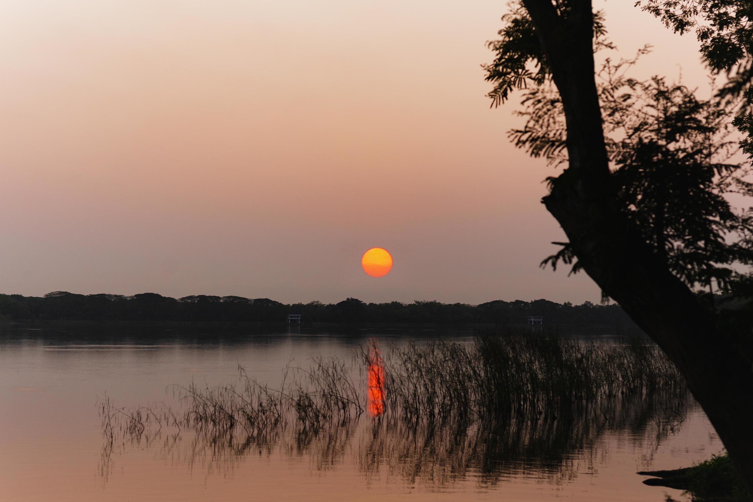 silhouette sunset over lake in public park. Stock Free