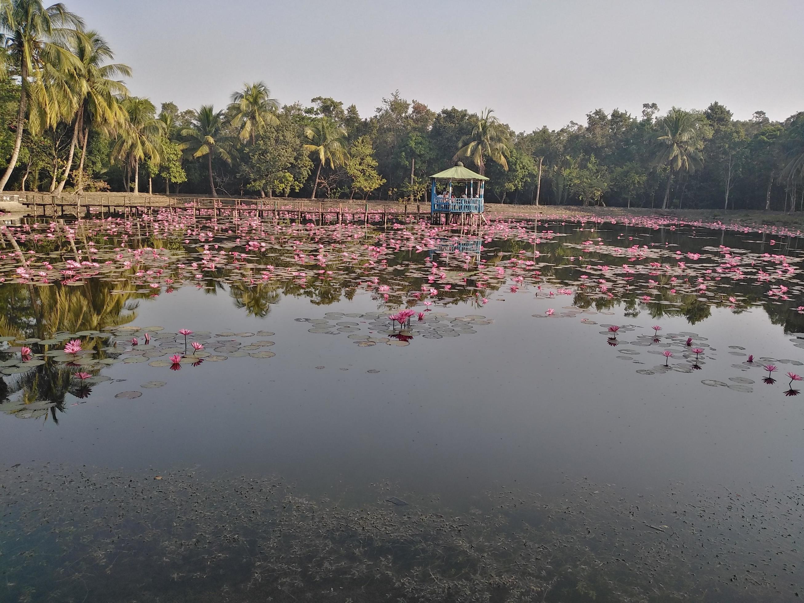 Natural beauty in Bangladeshi spot Stock Free