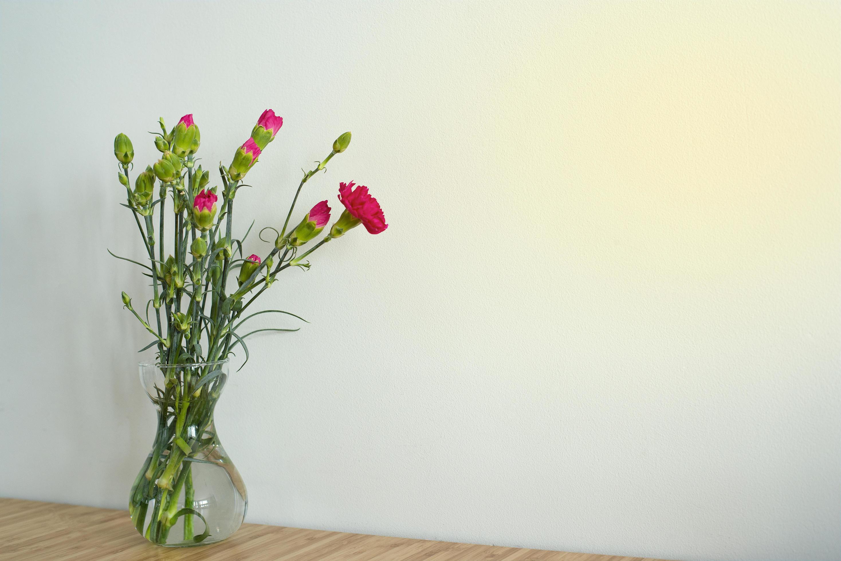 Bouquet of pink flowers in a vase on a light background. Carnations. Stock Free