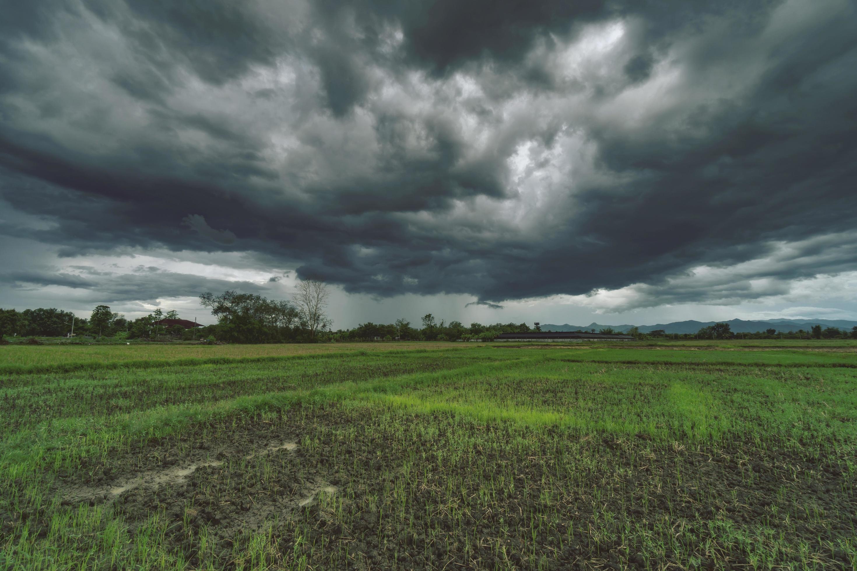 Field agriculture and rain clouds natural background Stock Free