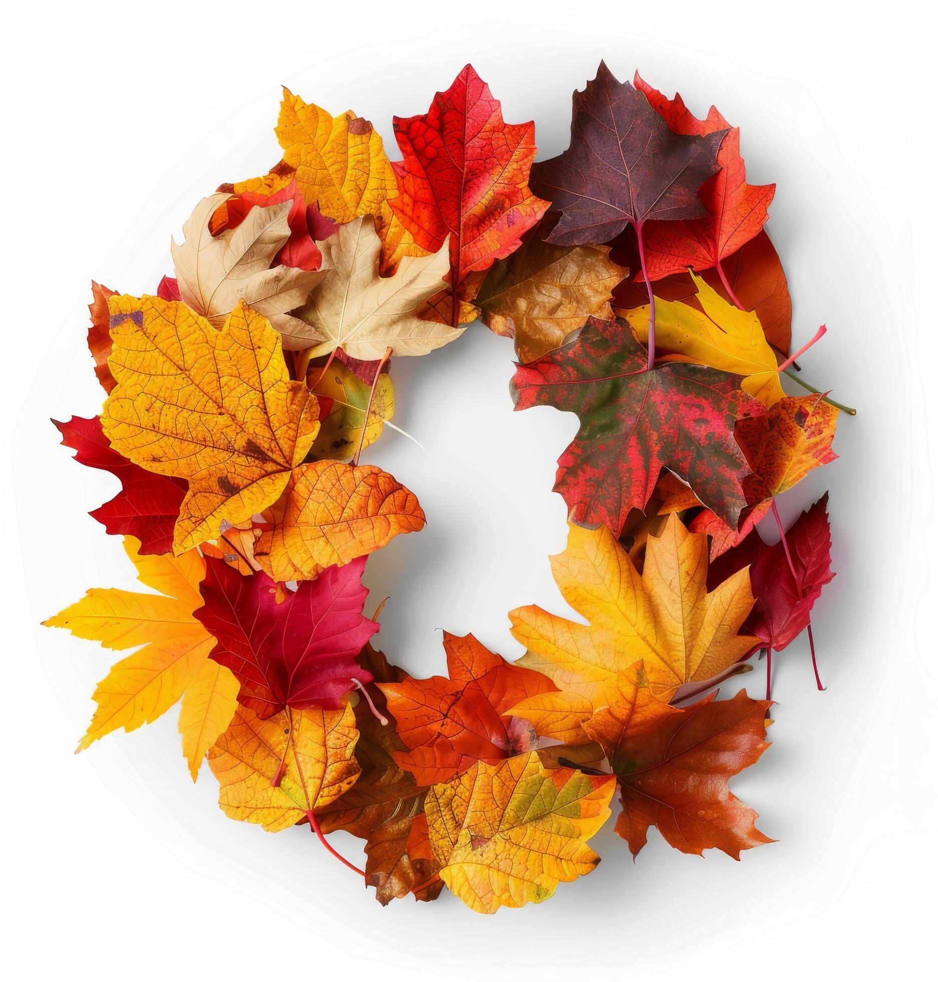 Autumn Wreath Made of Colorful Maple Leaves on a White Background Stock Free