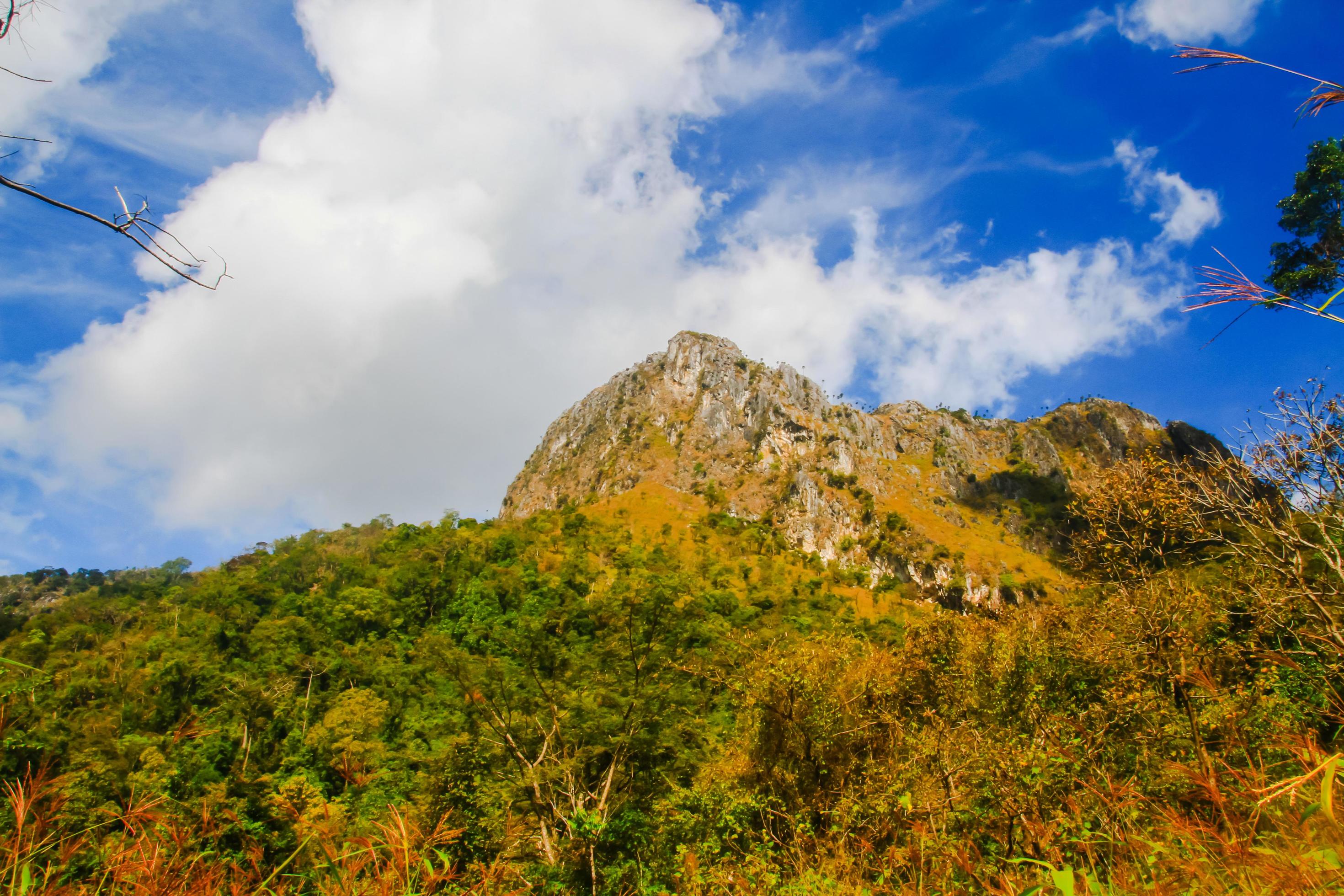 Beautiful Landscape of rocky Limestone Mountain and green forest with blu sky at Chiang doa national park in Chiangmai, Thailand Stock Free