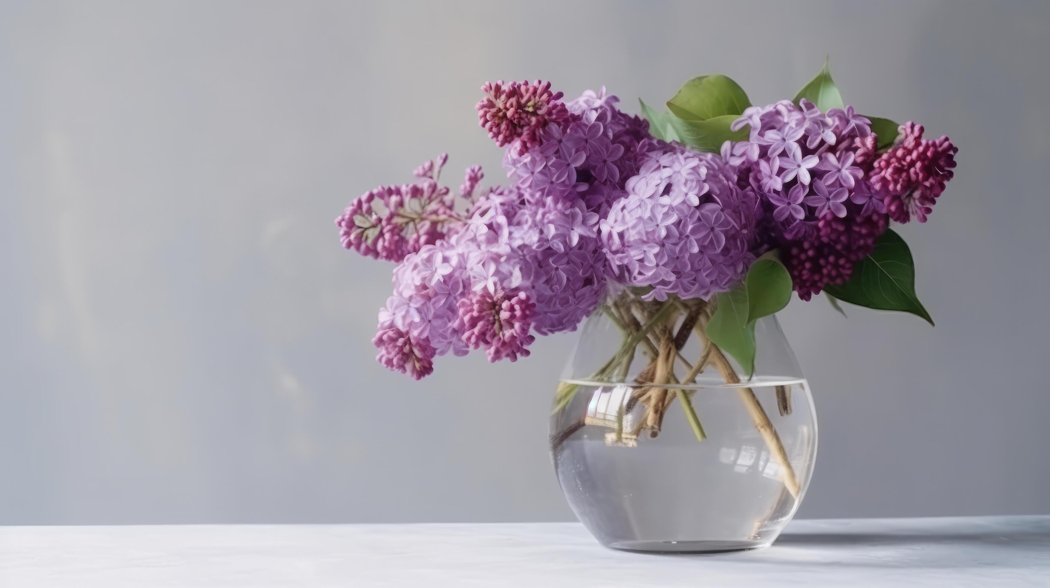 Lilac flower bouquet. Illustration Stock Free