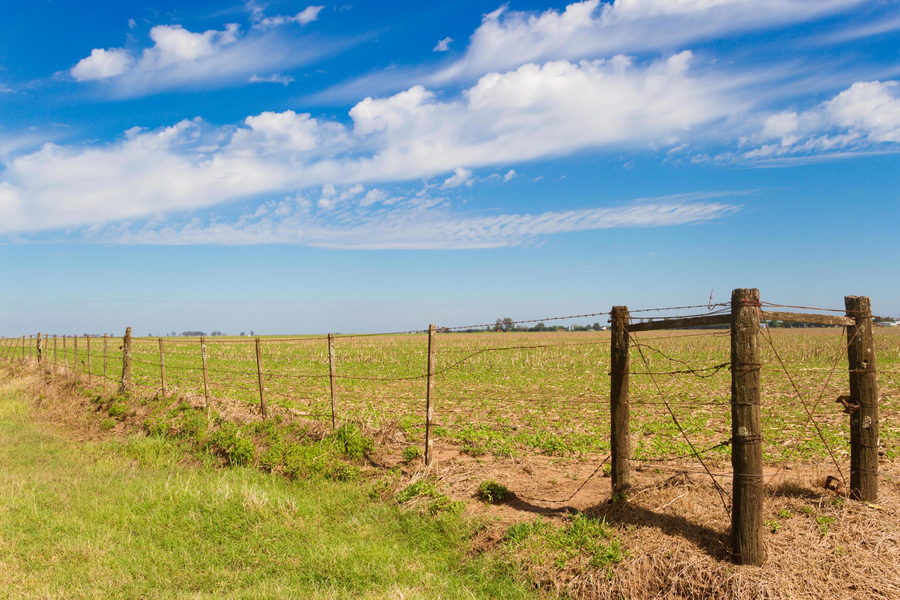 rural landscape with lambrado of the Argentine countryside Stock Free