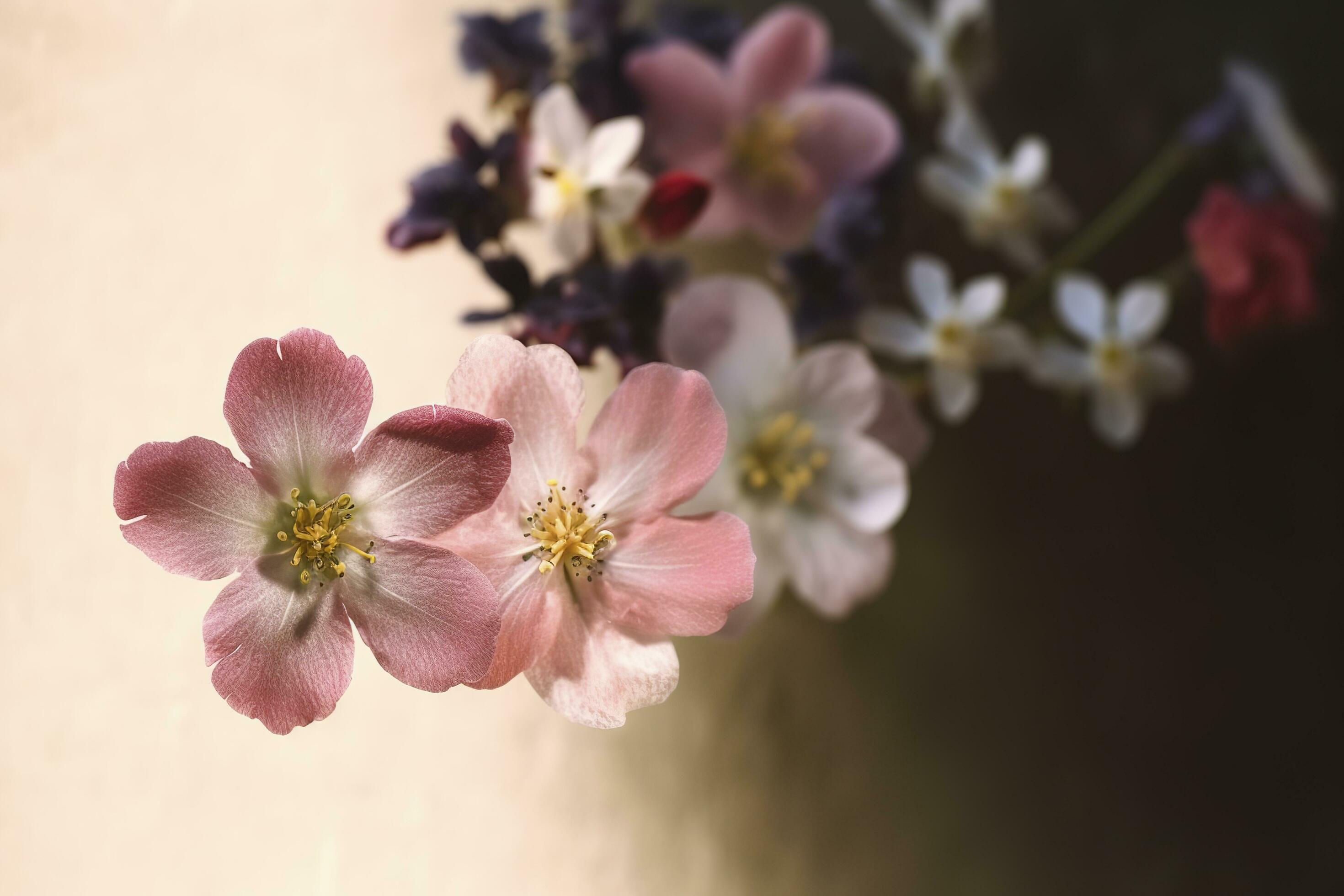 Beautiful spring border, blooming rose bush. Flowering rose hips against on wall. Soft selective focus, generate ai Stock Free