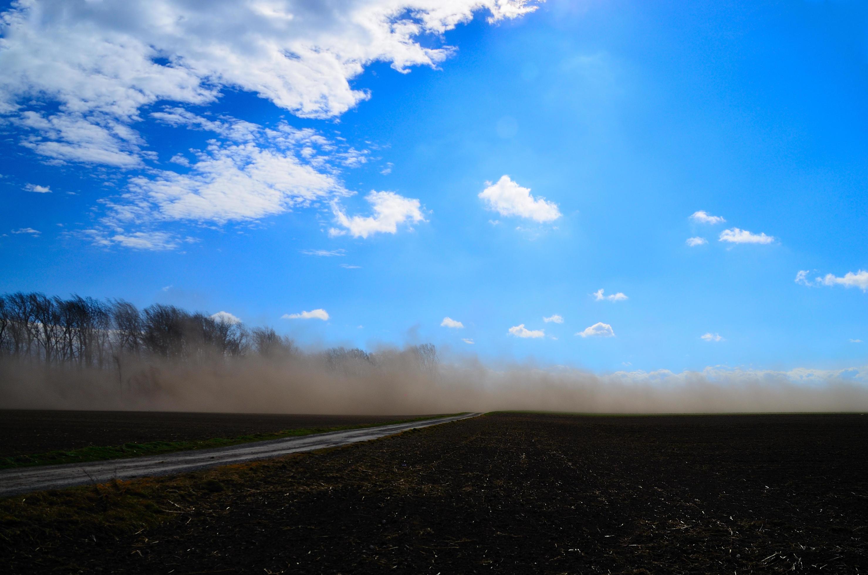 sand storm on a field Stock Free