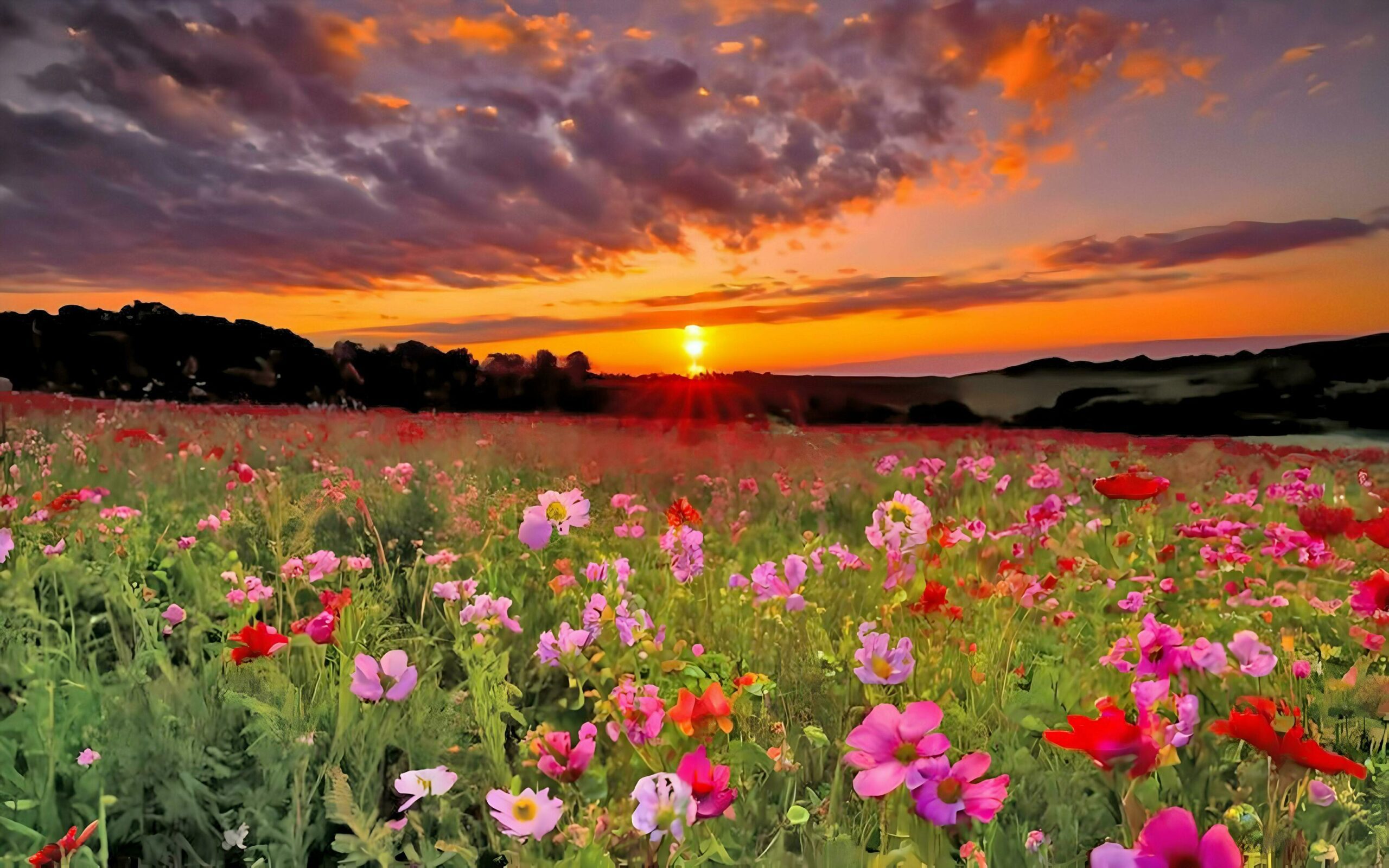 A beautiful cloudy sunset with retro flower garden Free Photo